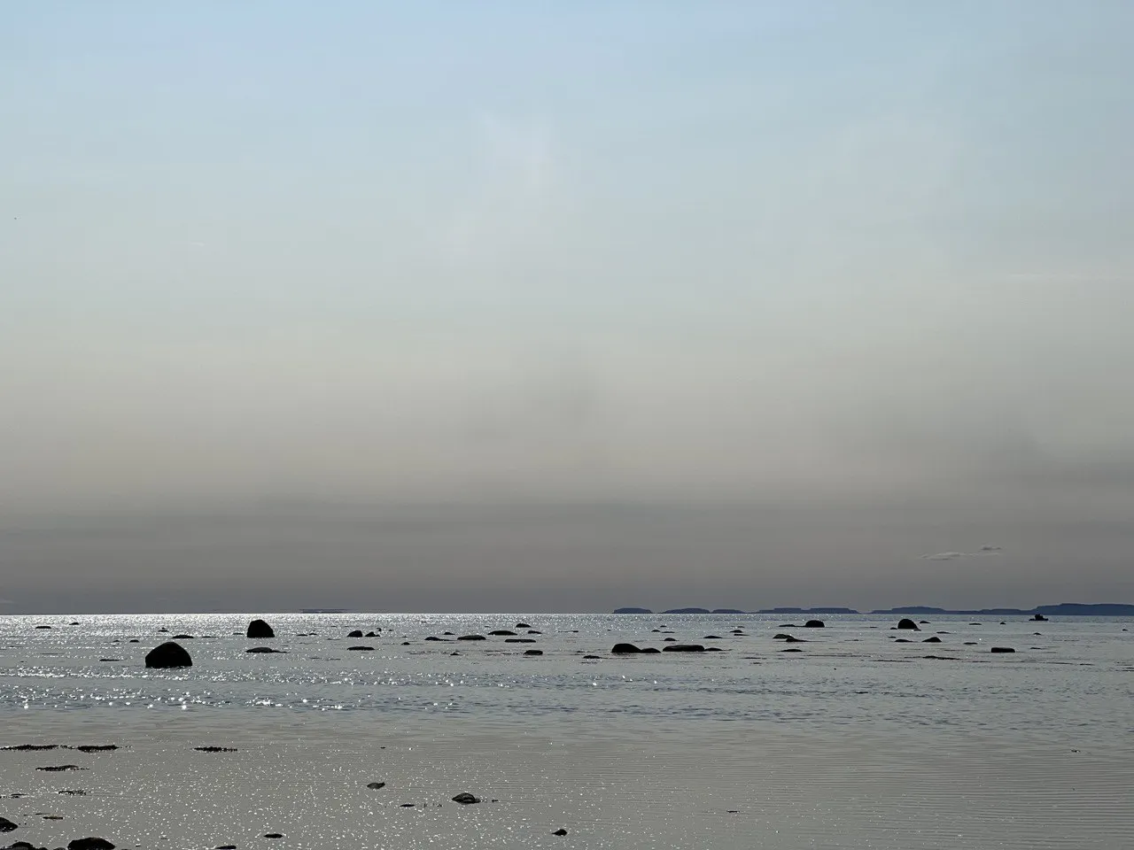 В ожидании белух на большом соловецком отсрове