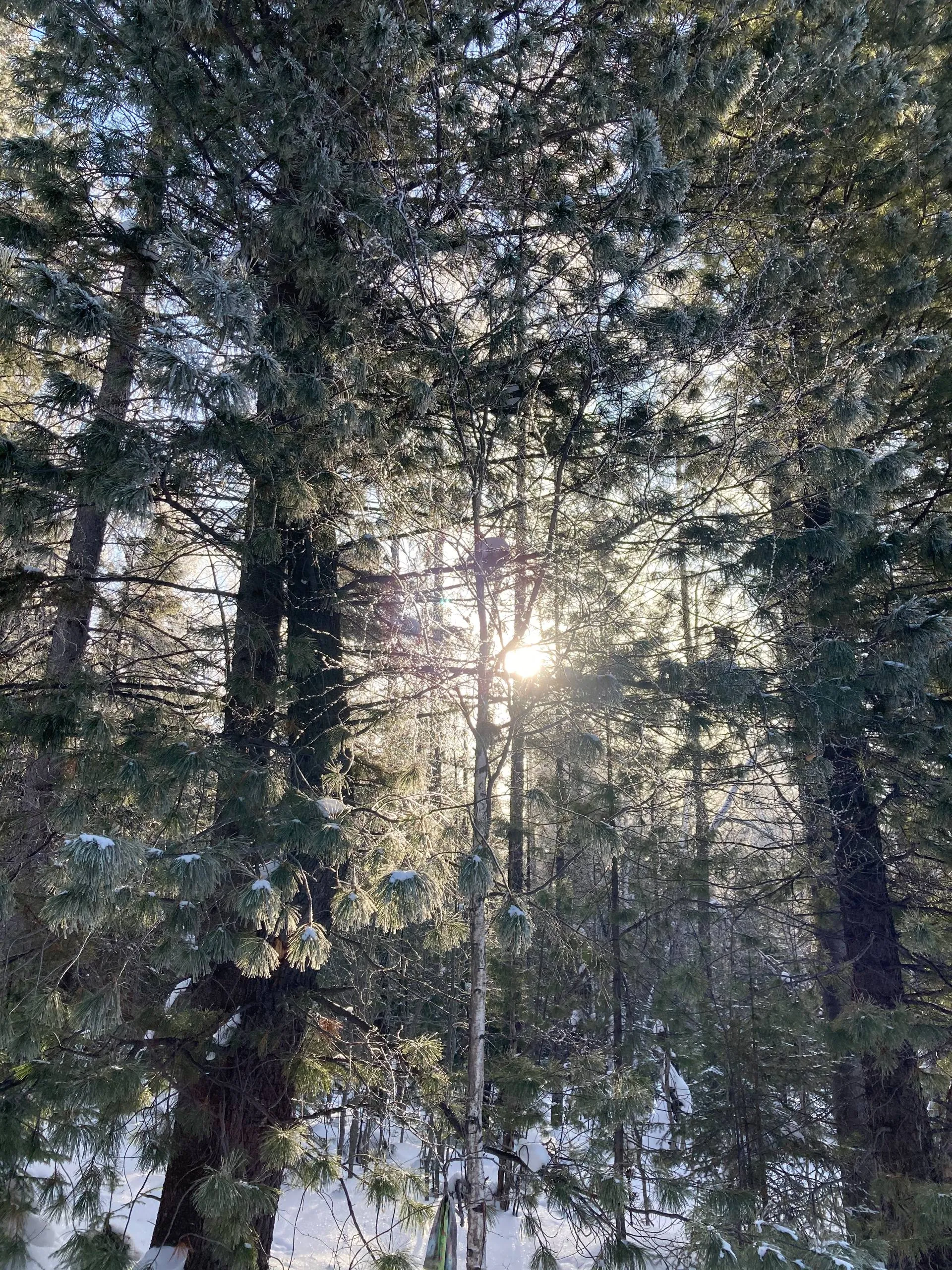 Свет в дали