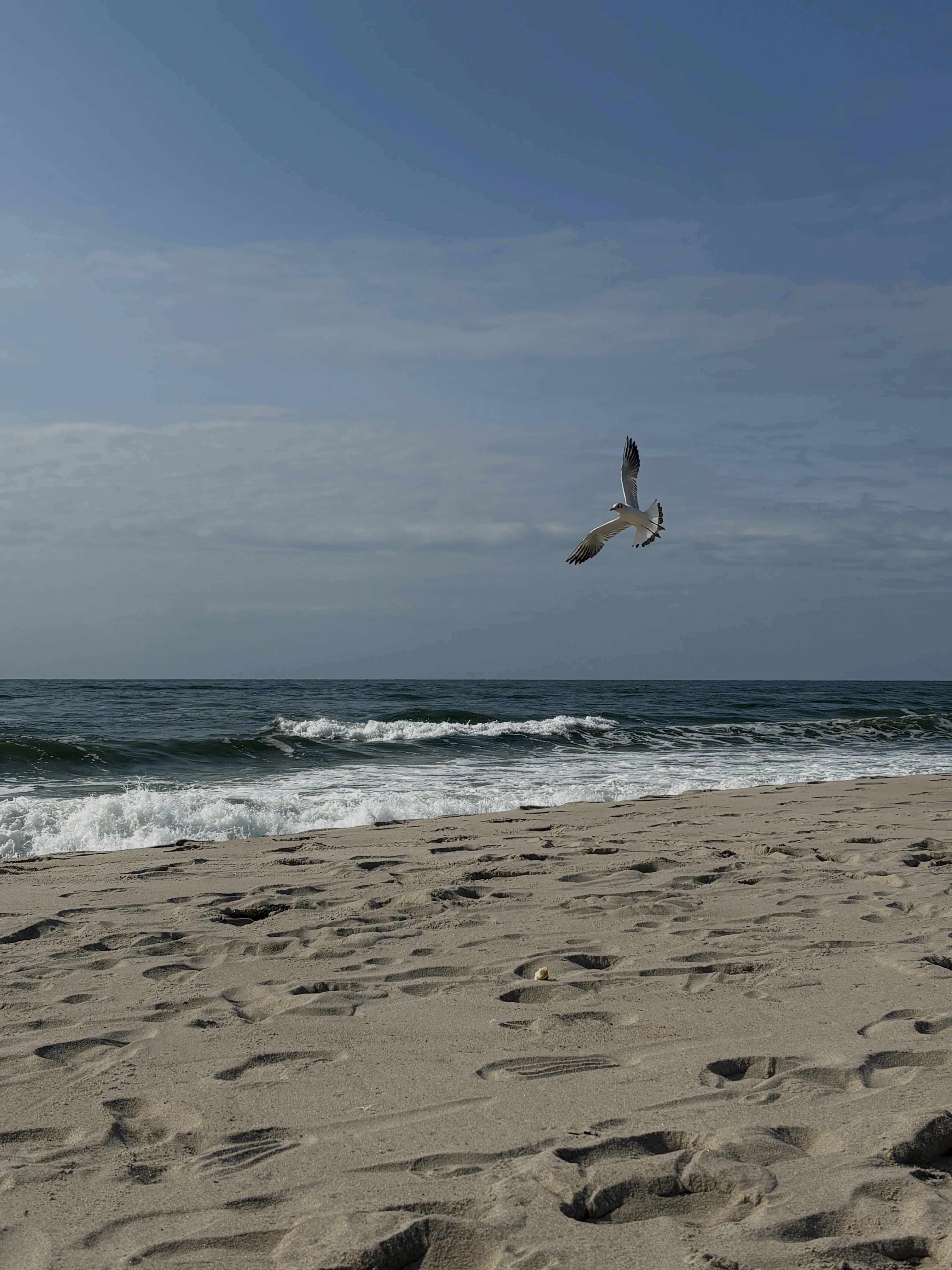 Шепот море и крылья ветра