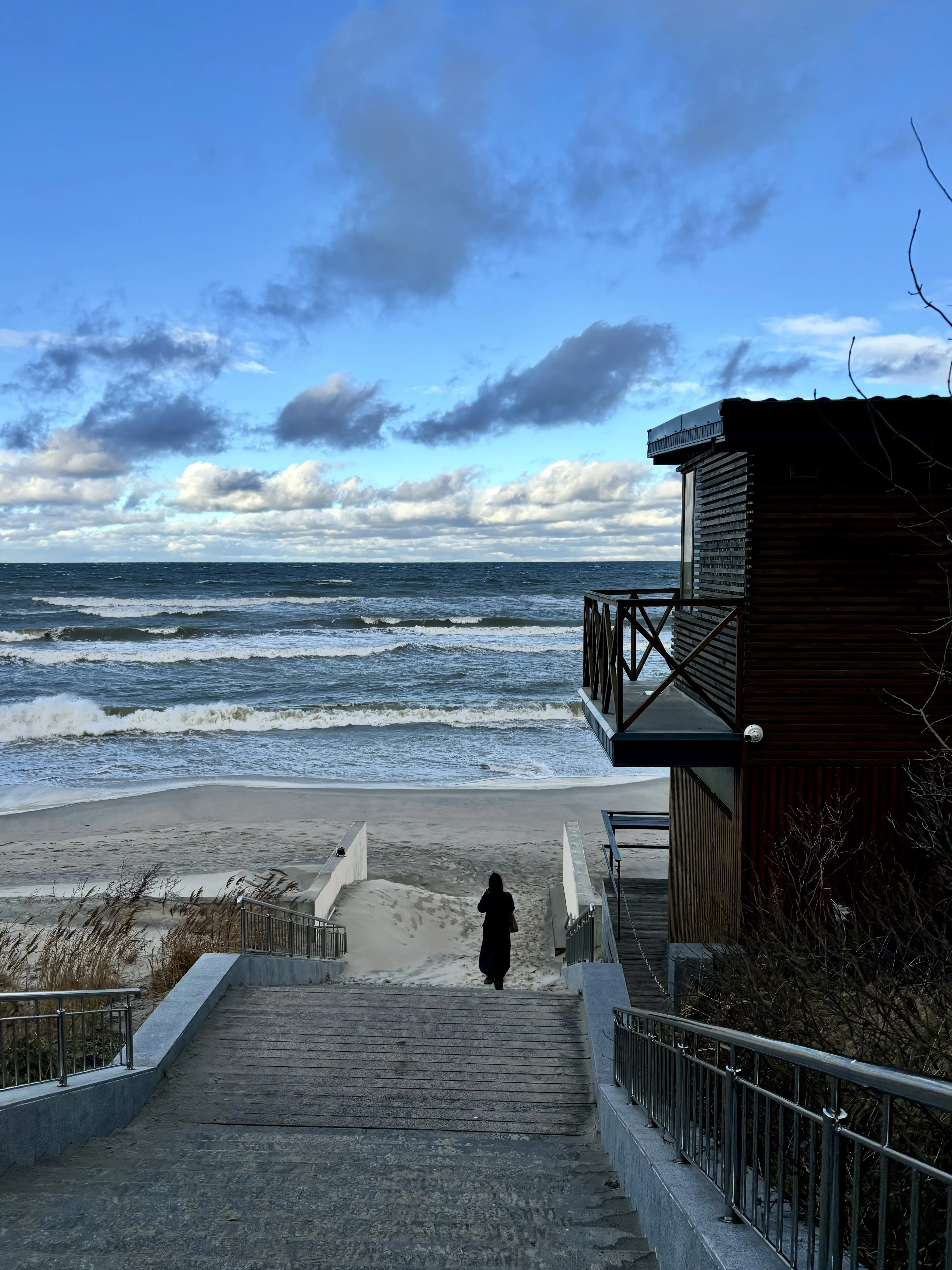 Наперегонки с ветром.
