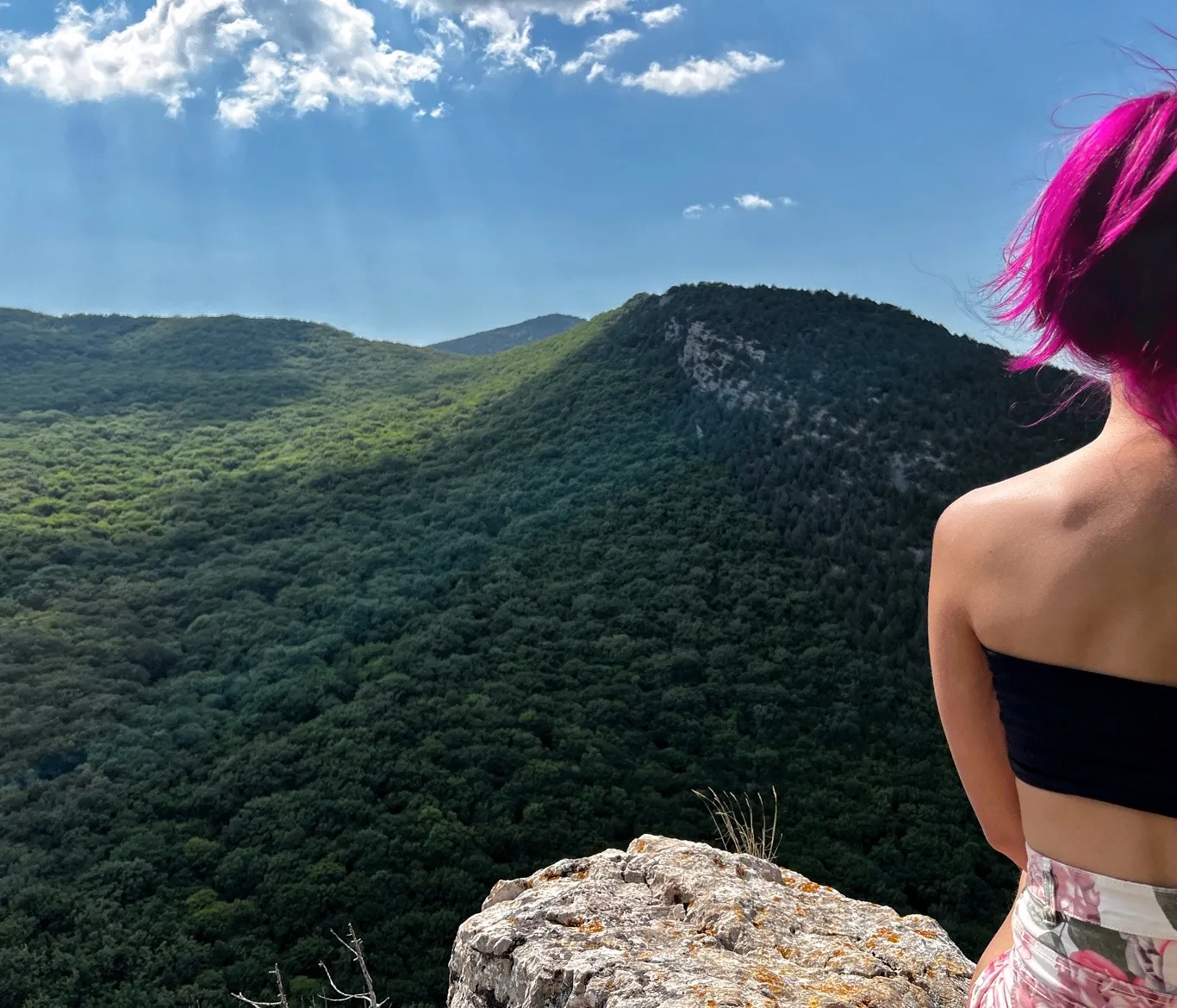 Наблюдатель (Автопортрет)