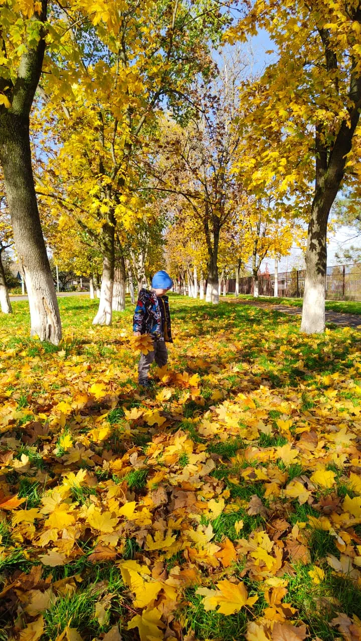 Там, где живут листья