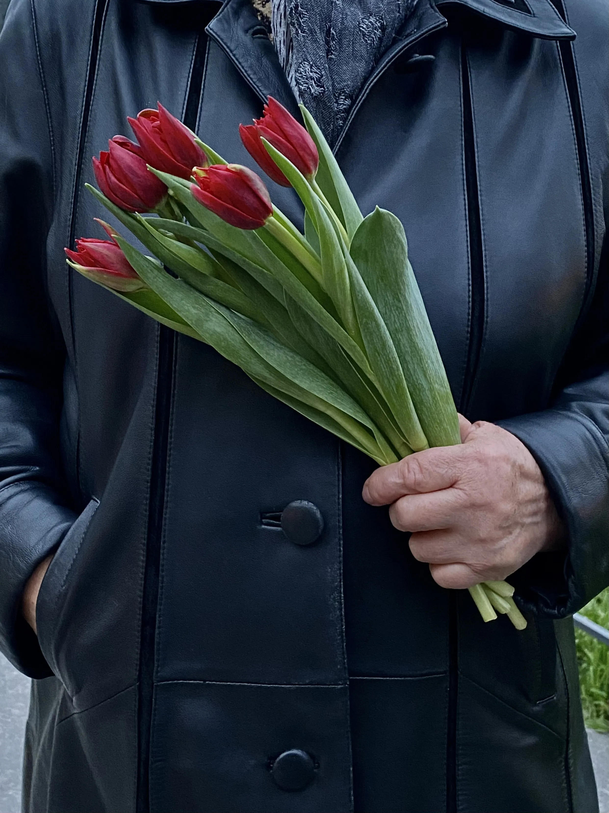 Бабушка и тюльпаны