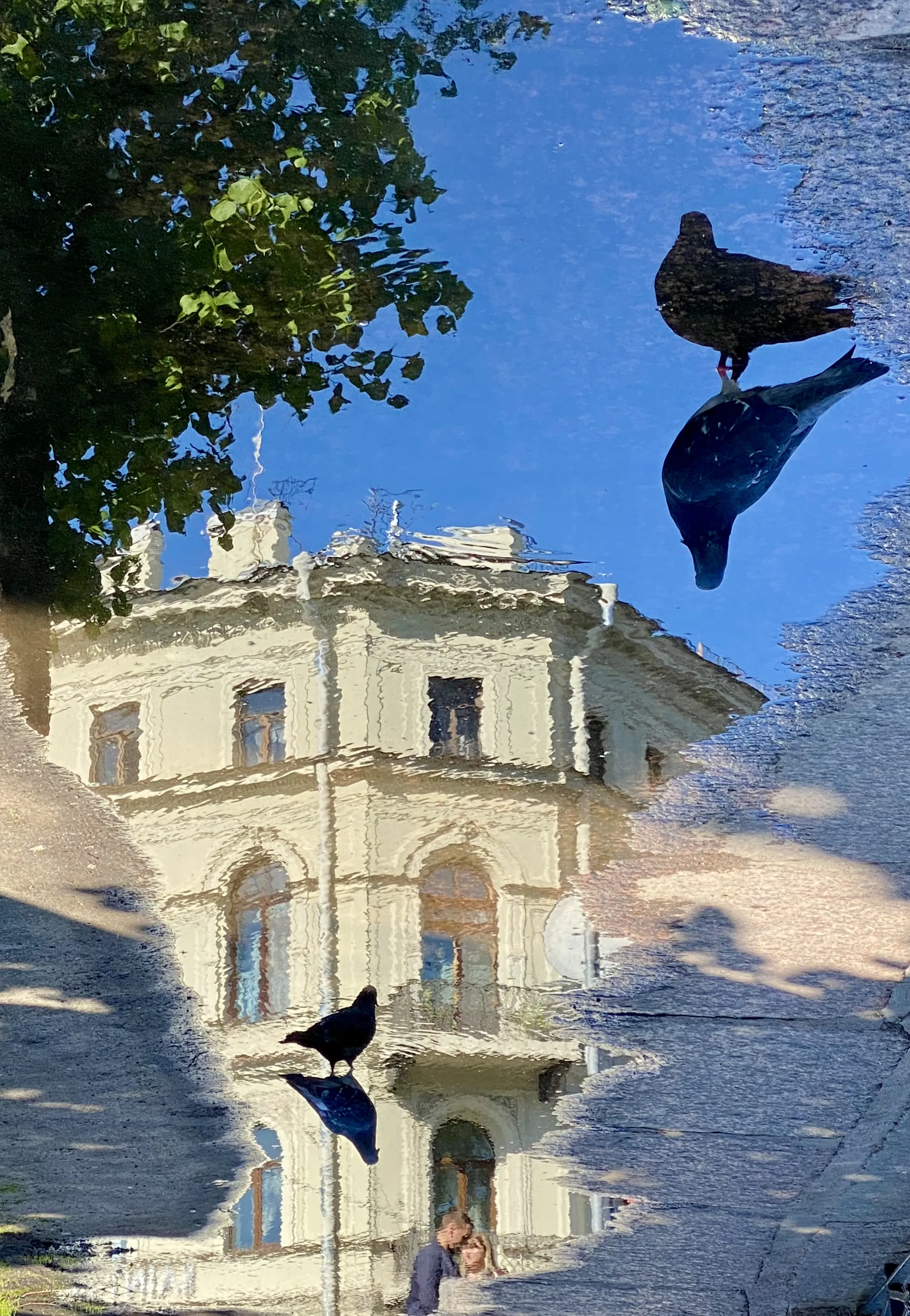 Жизнь в городе