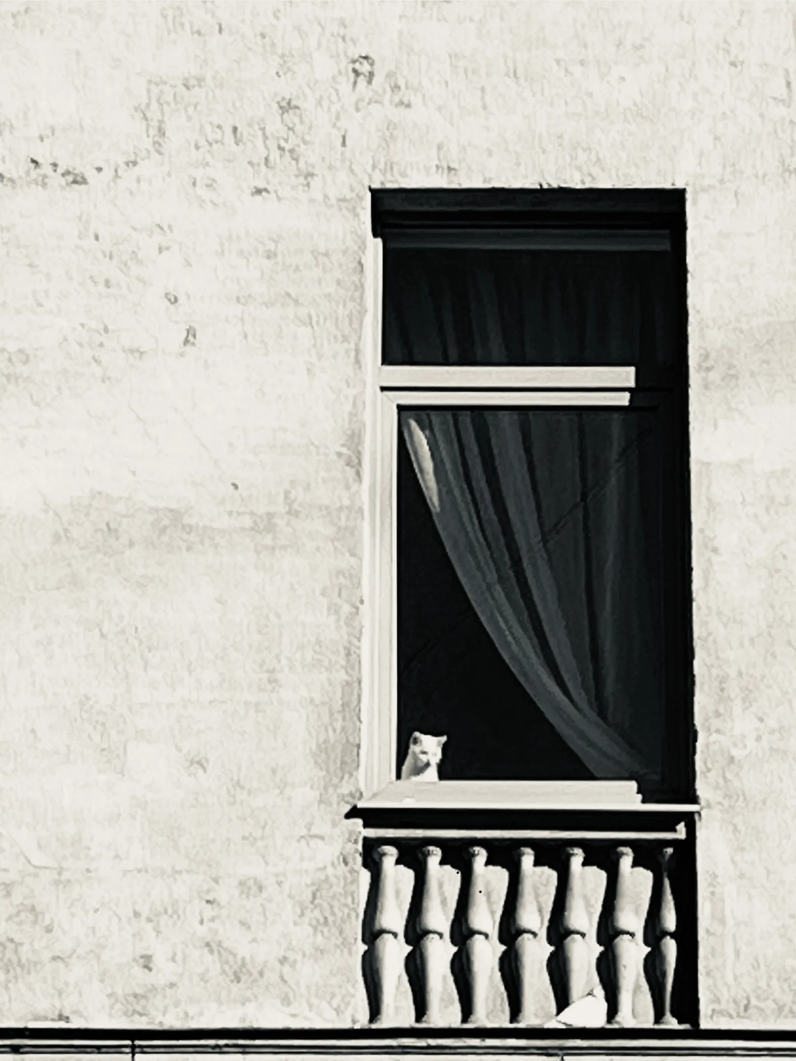 Безмятежное утро