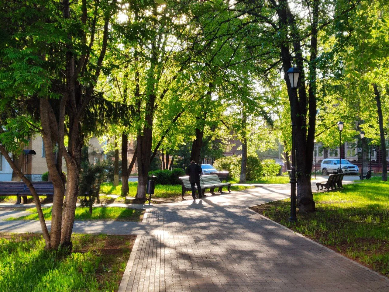 Утро в городском сквере