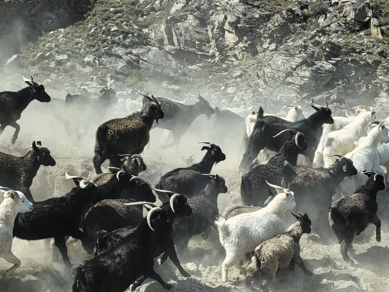 Горные хранители