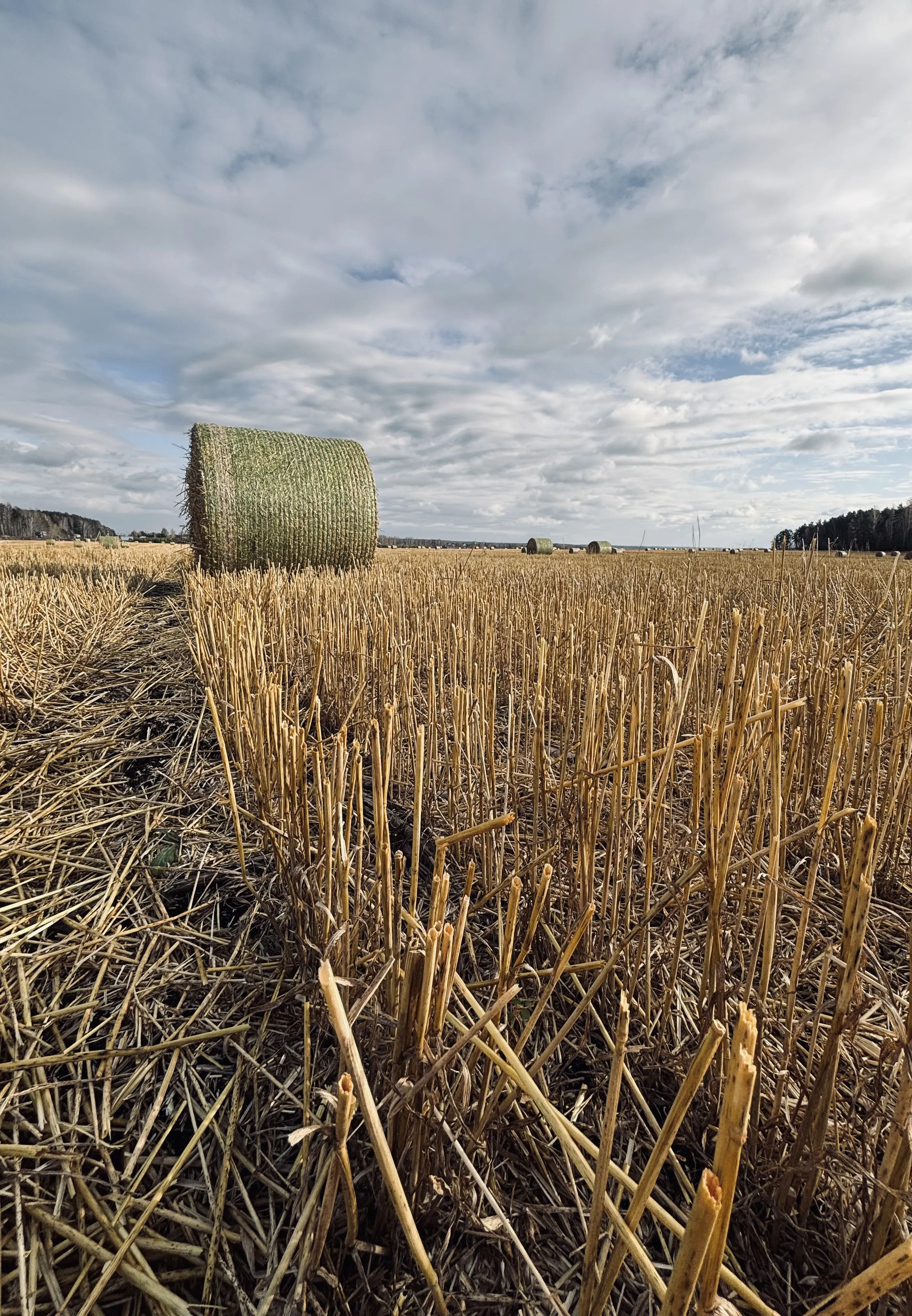 На краю осени