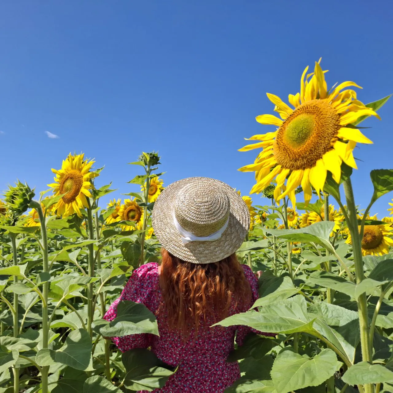 Бесконечное лето