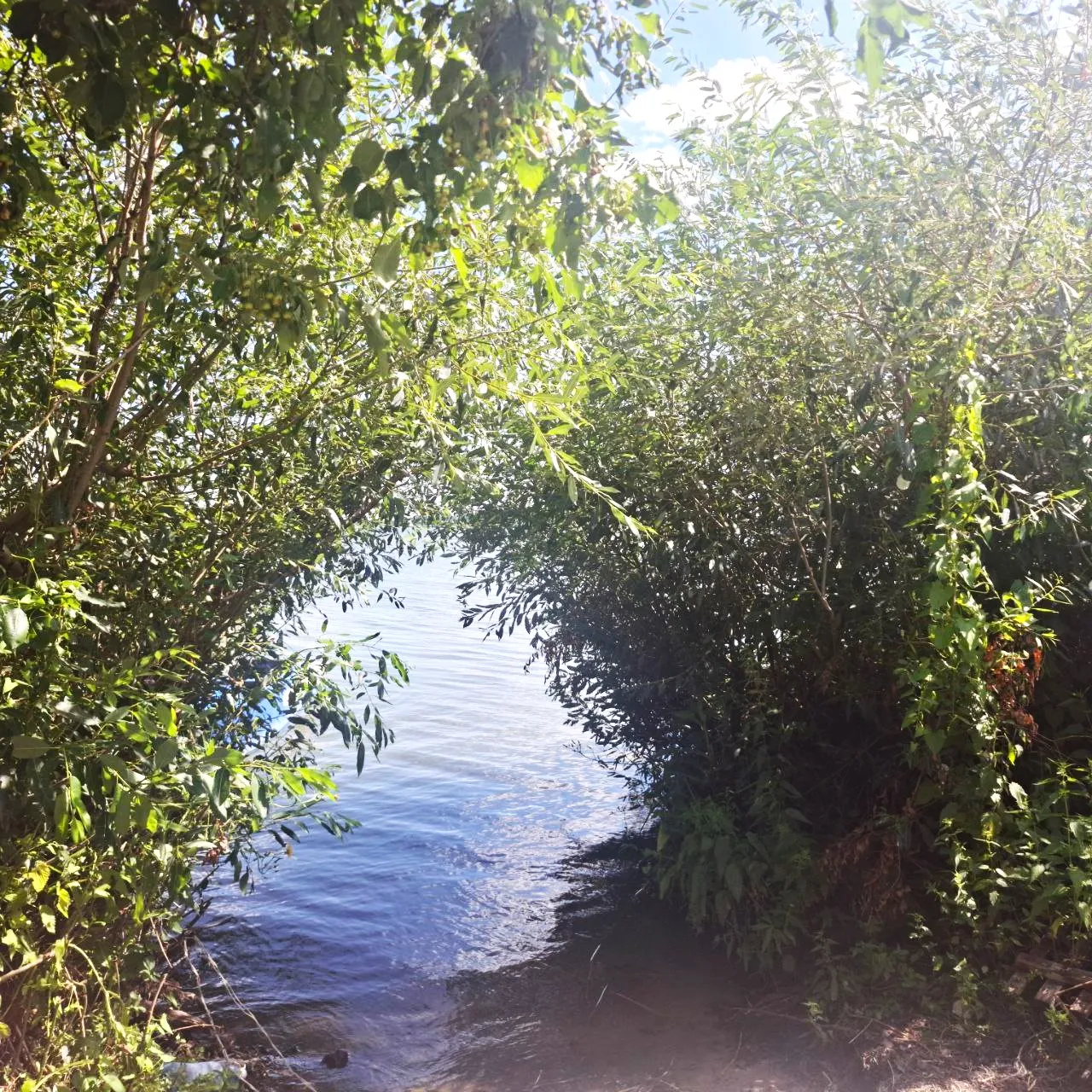 Райские врата