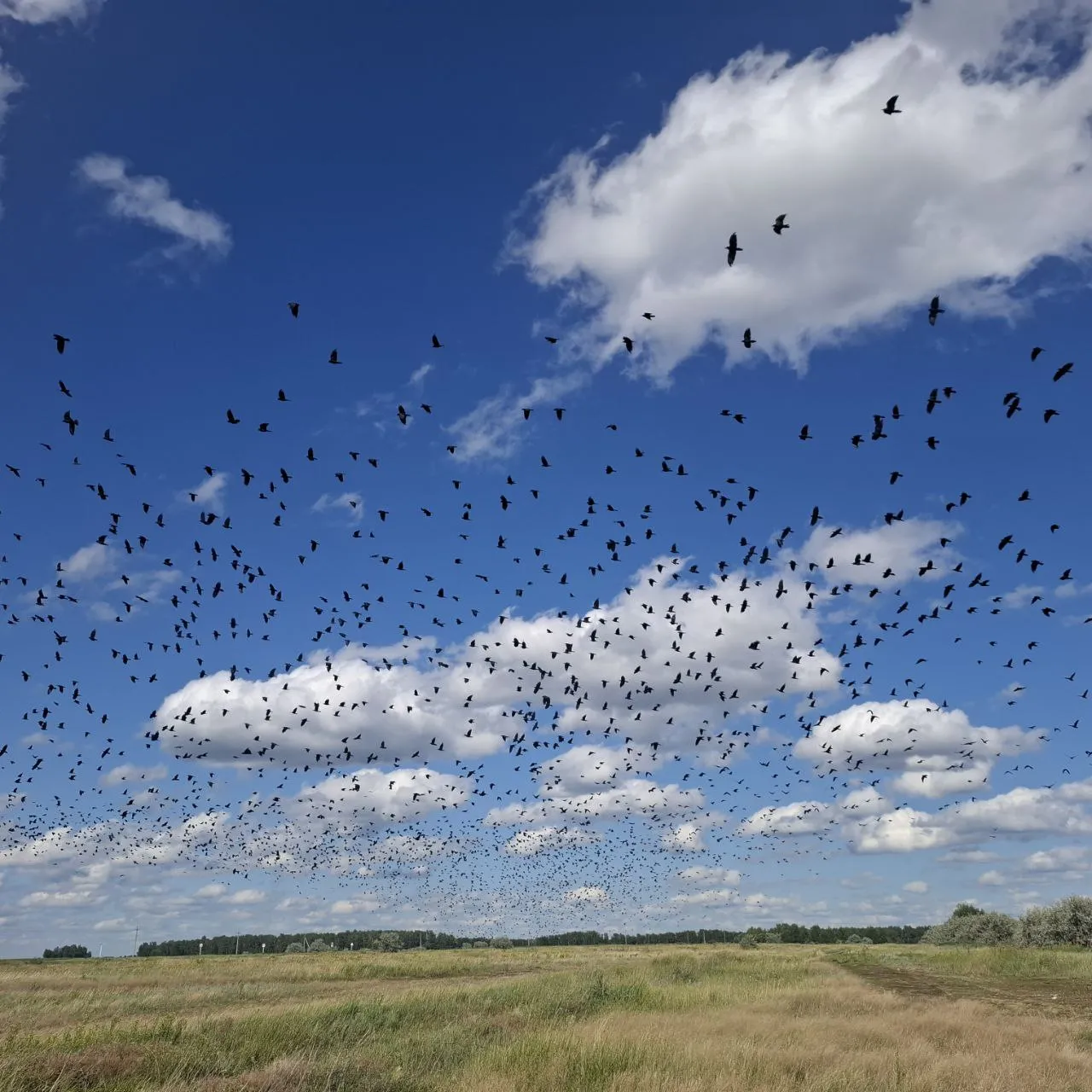 Первый аккорд осени