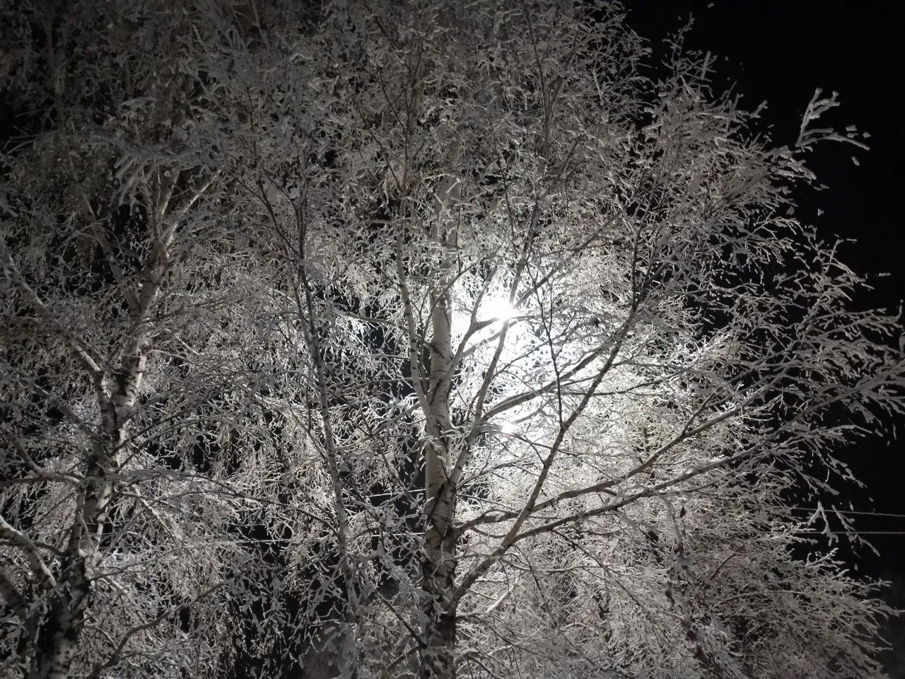 Ночная литургия тишины