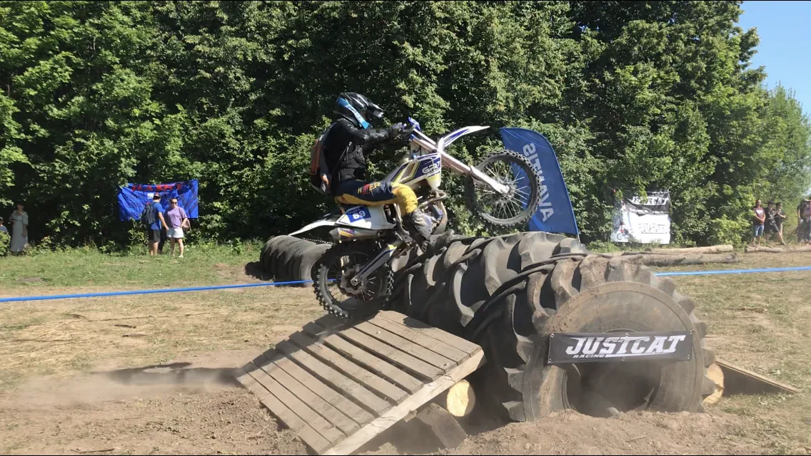 Железный друг