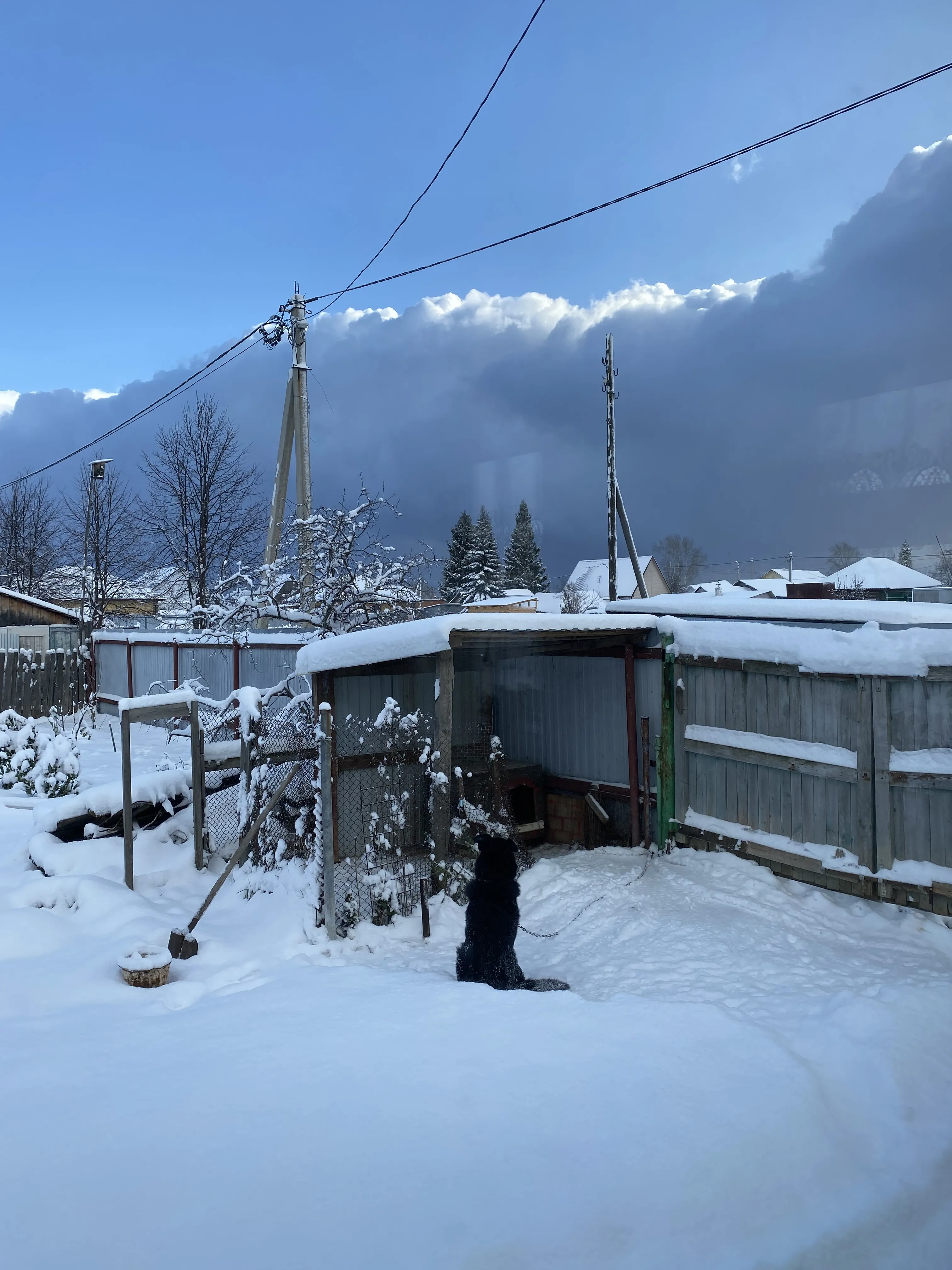 Первый снег