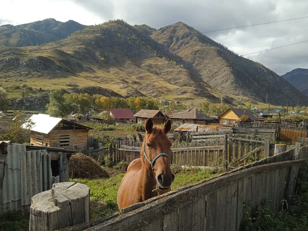 Горный транспорт