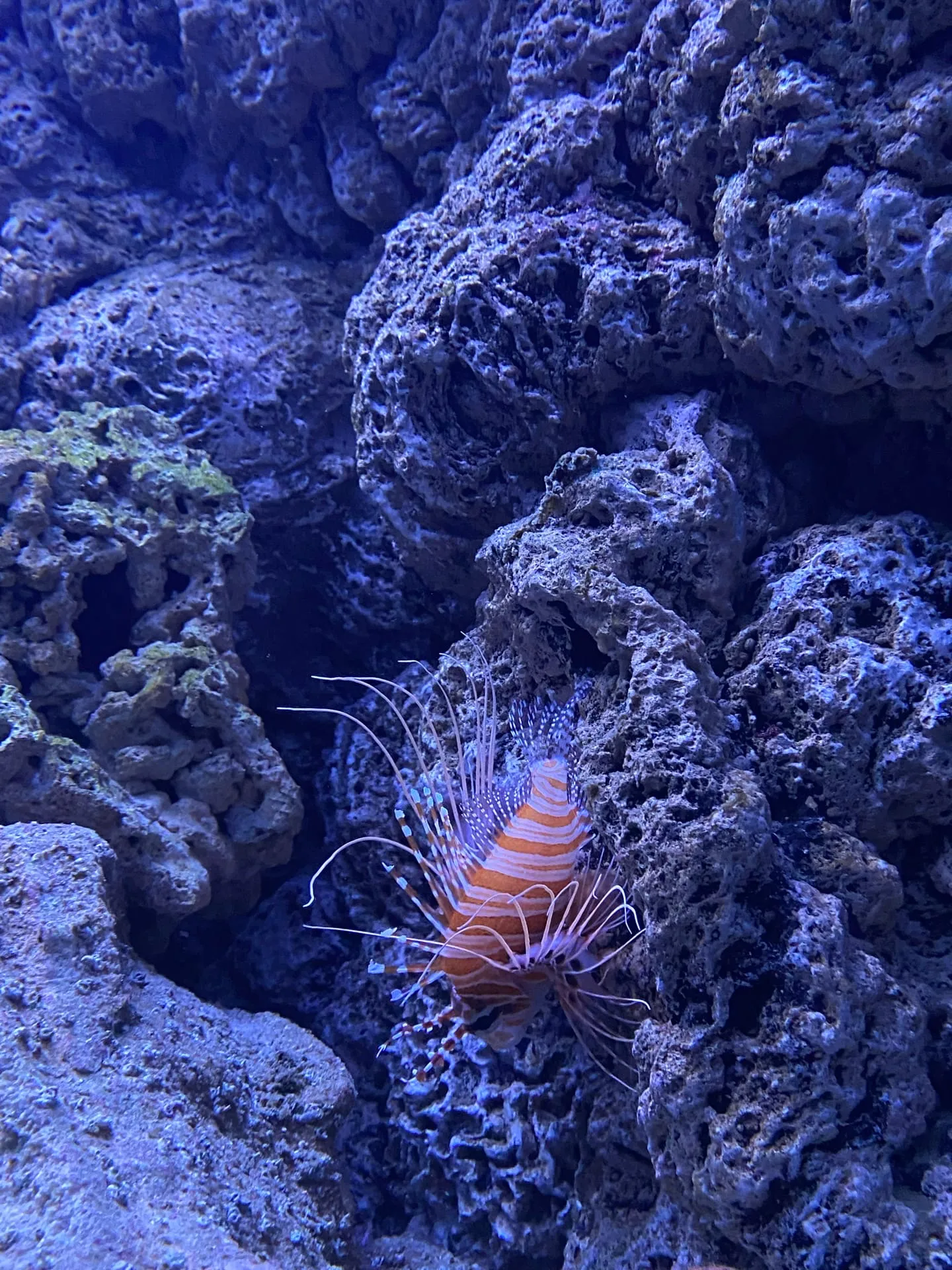 Подводный мир