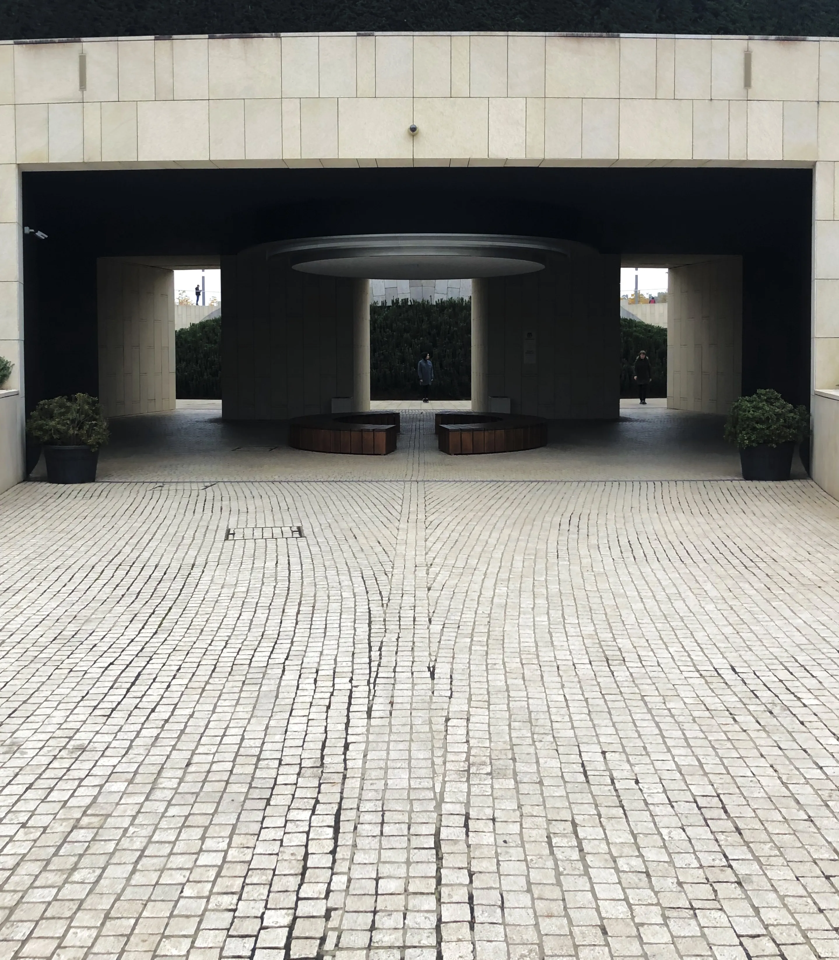 (а)симметрия