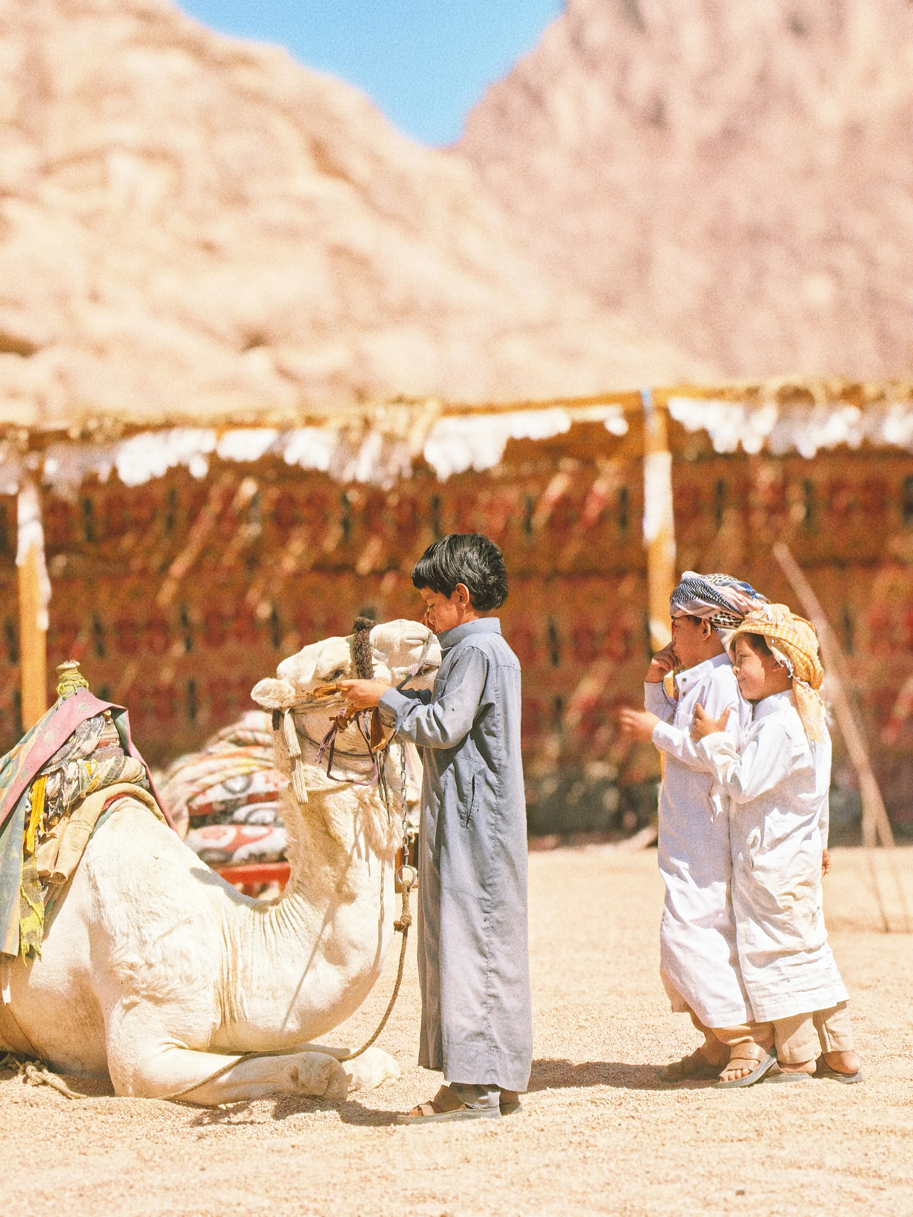 Любовь никогда не перестает