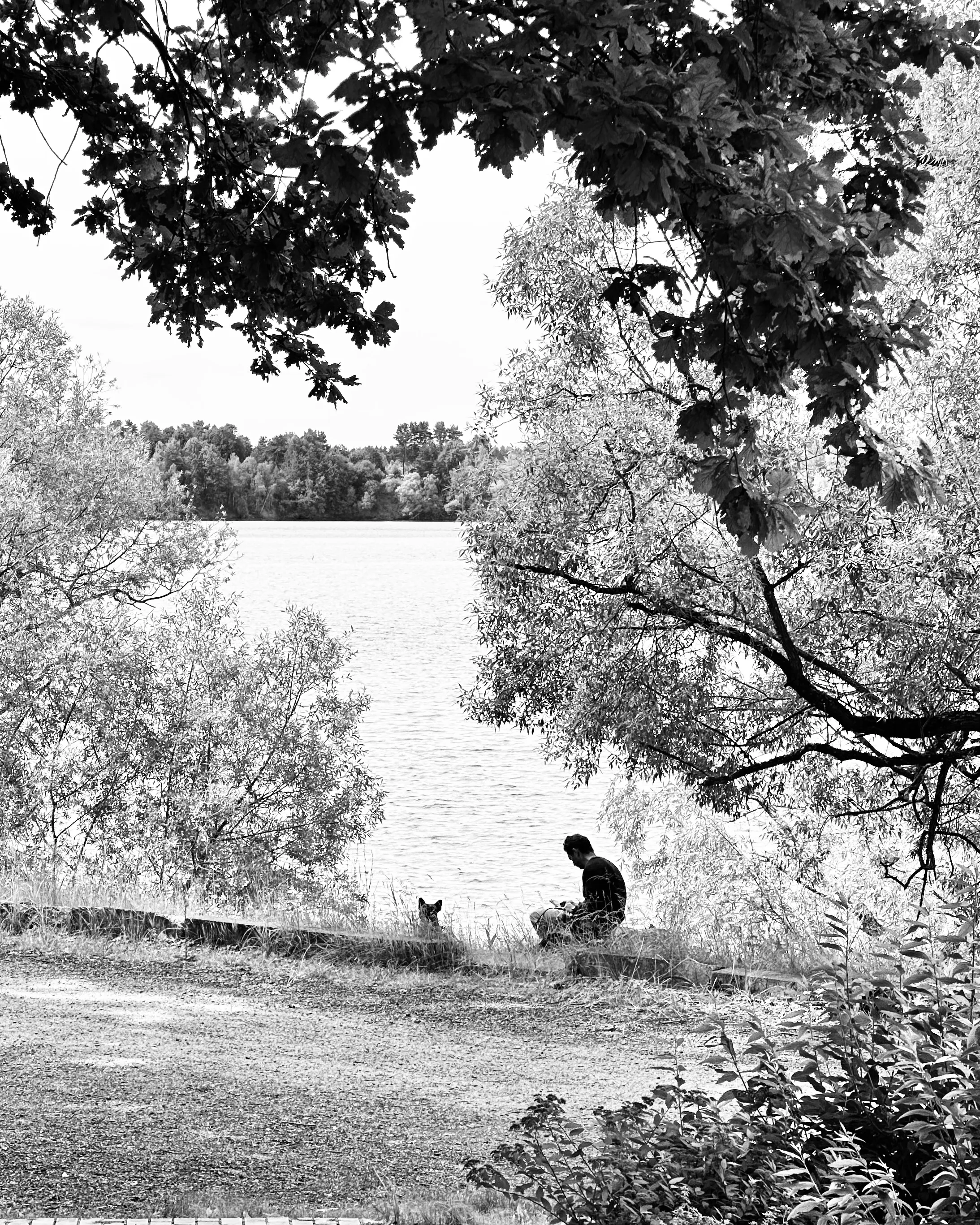 Просто ждем