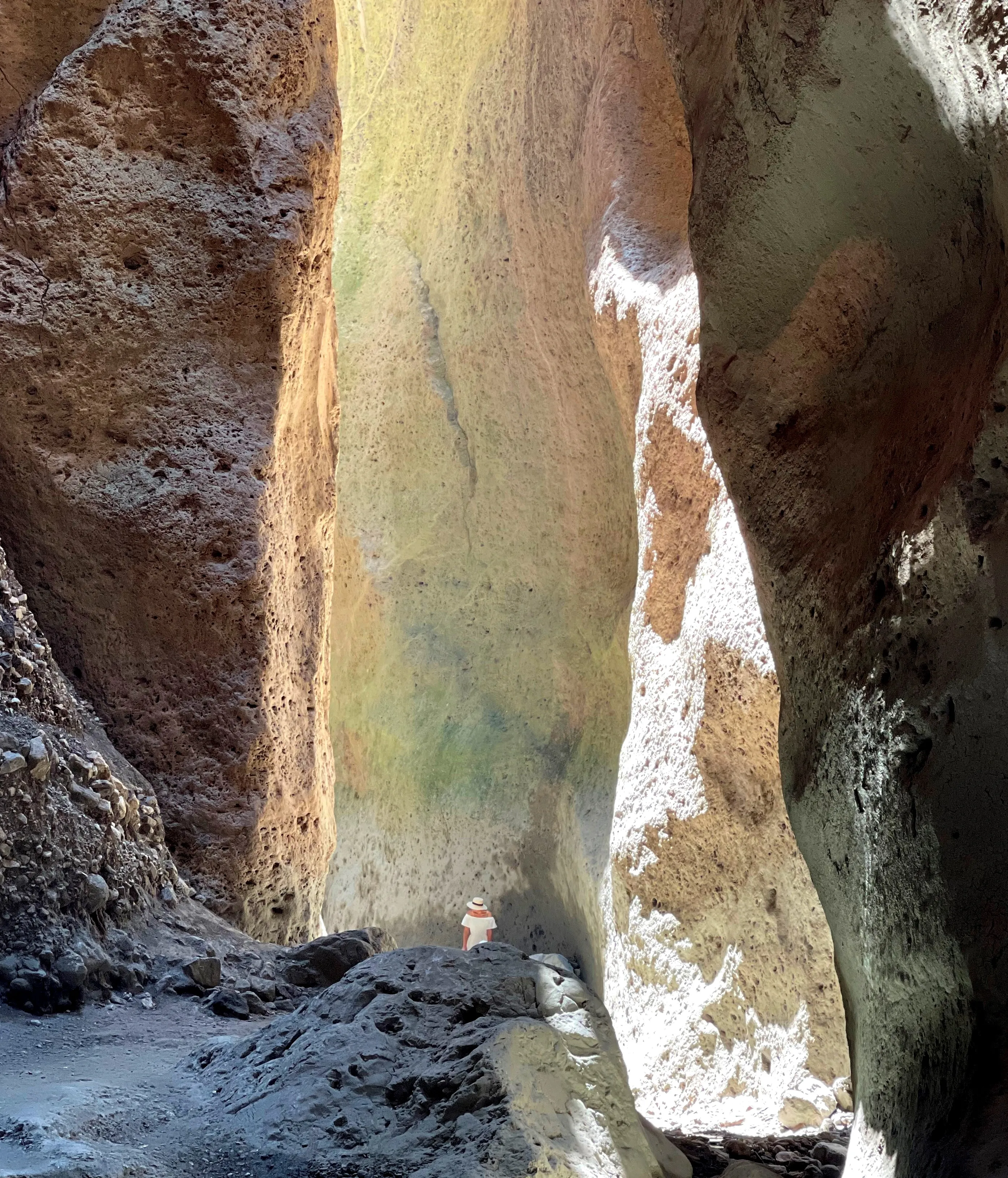 Без названия