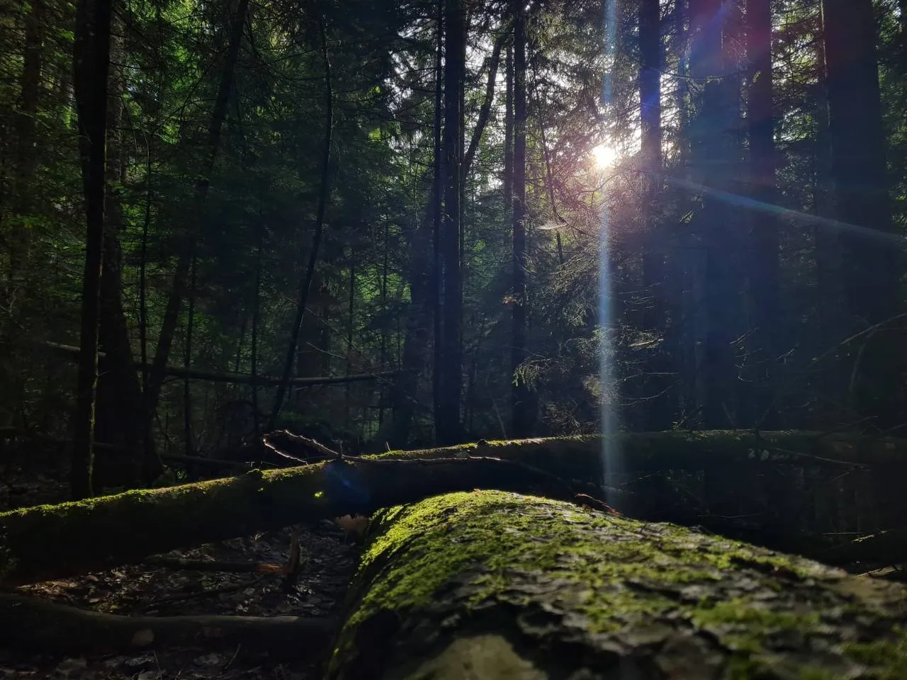 «Мгновение света»