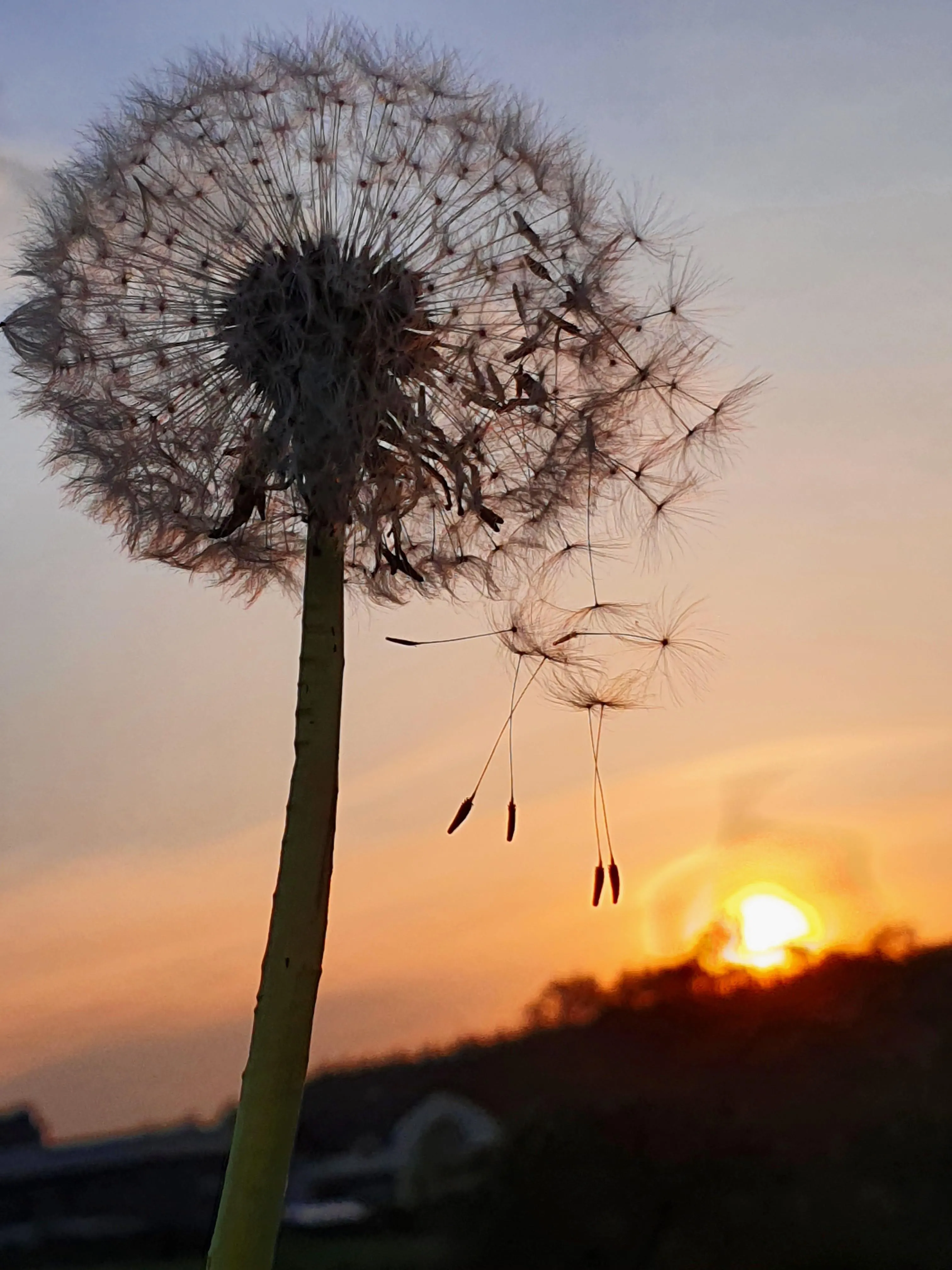 Один за всех