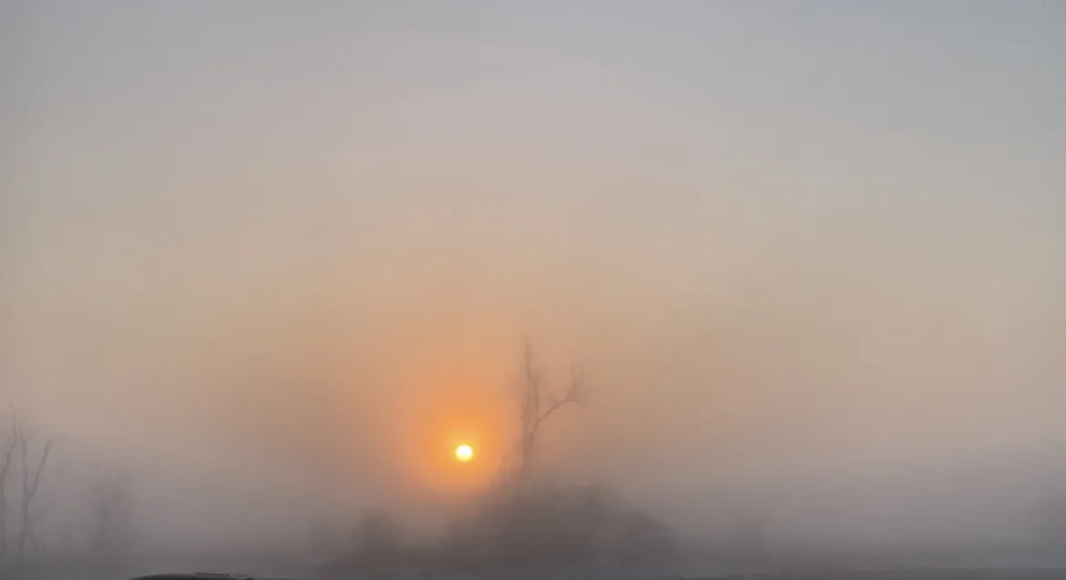 «Рождение света»