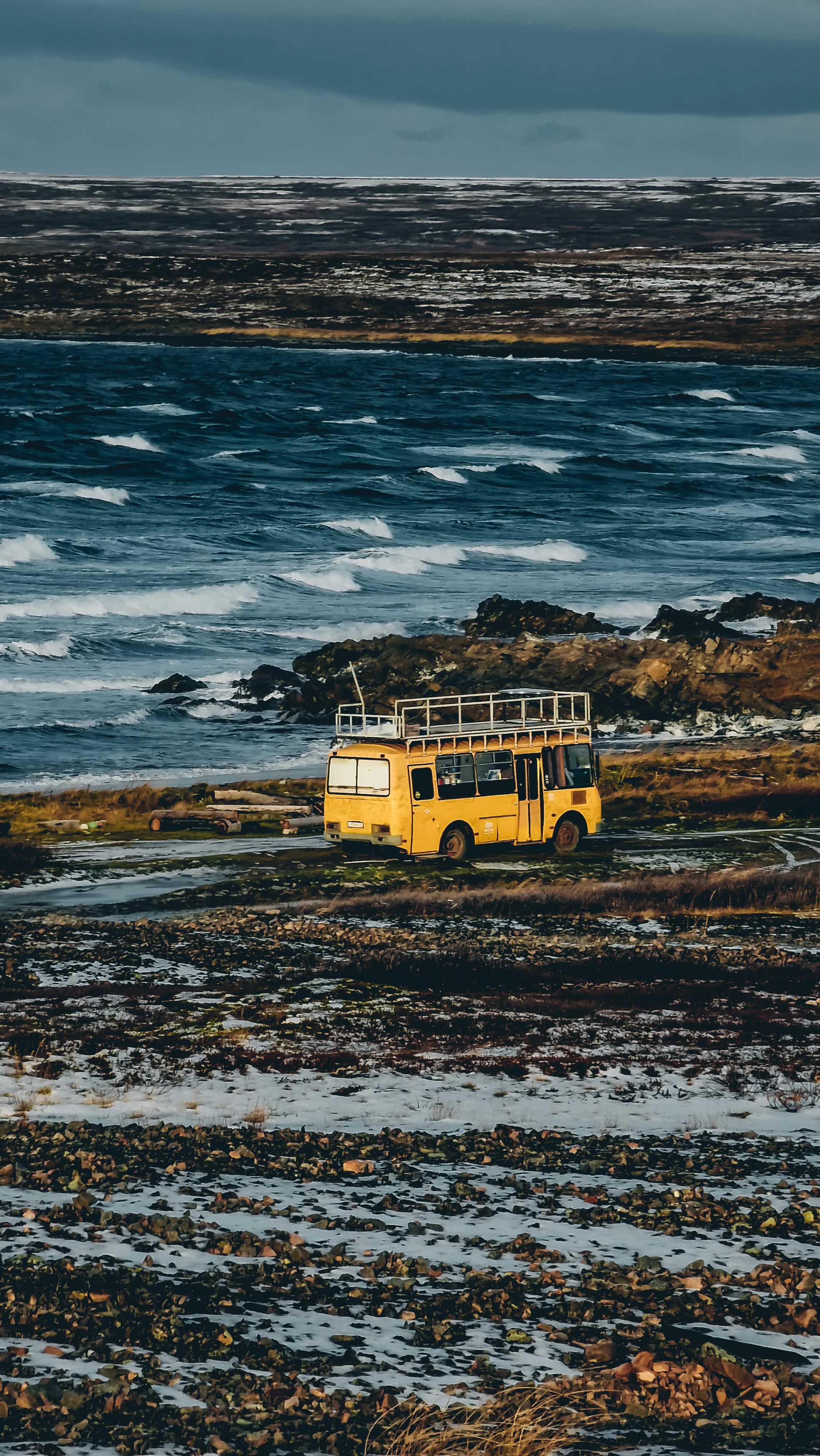 В диких условиях