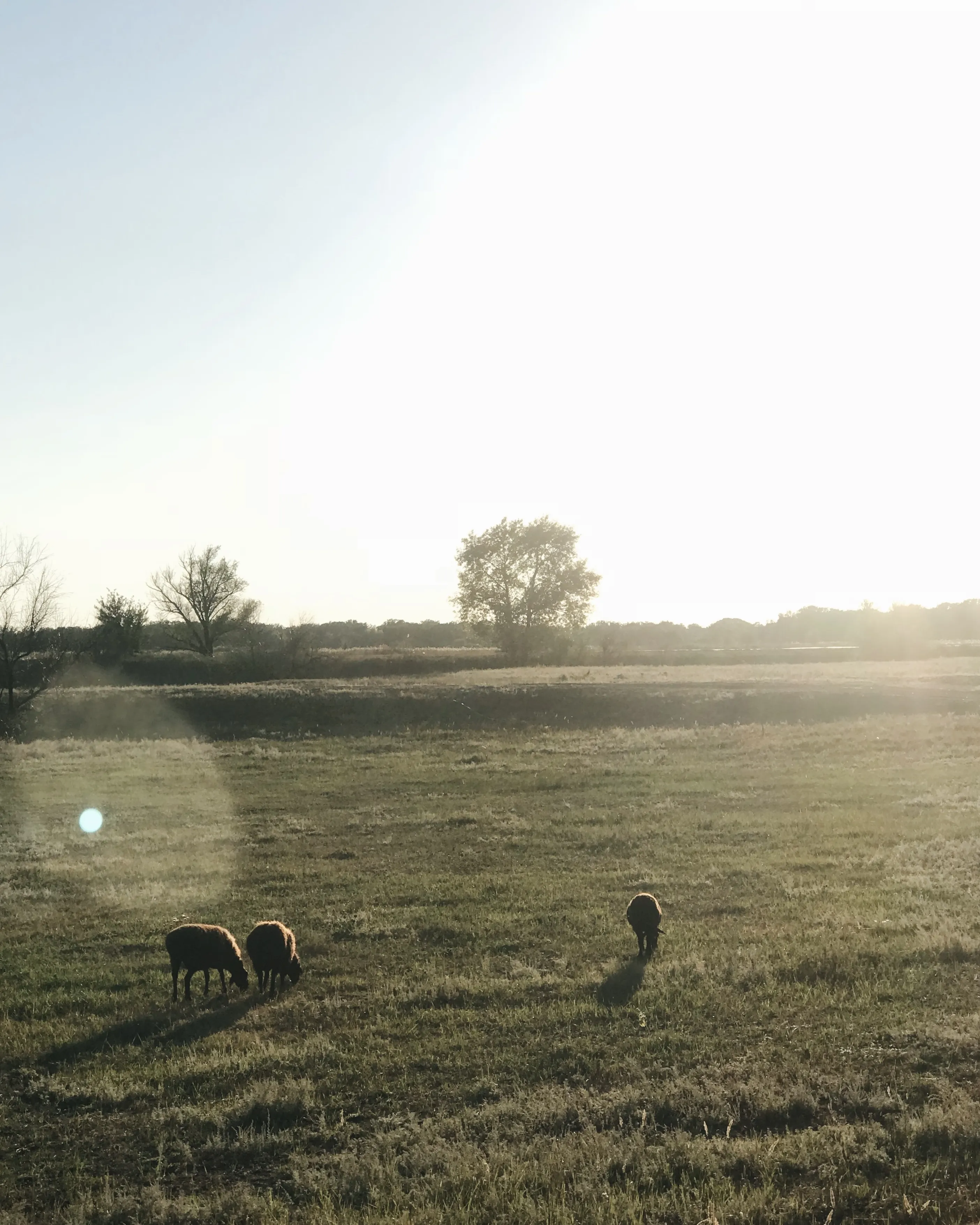 Деревенский воздух