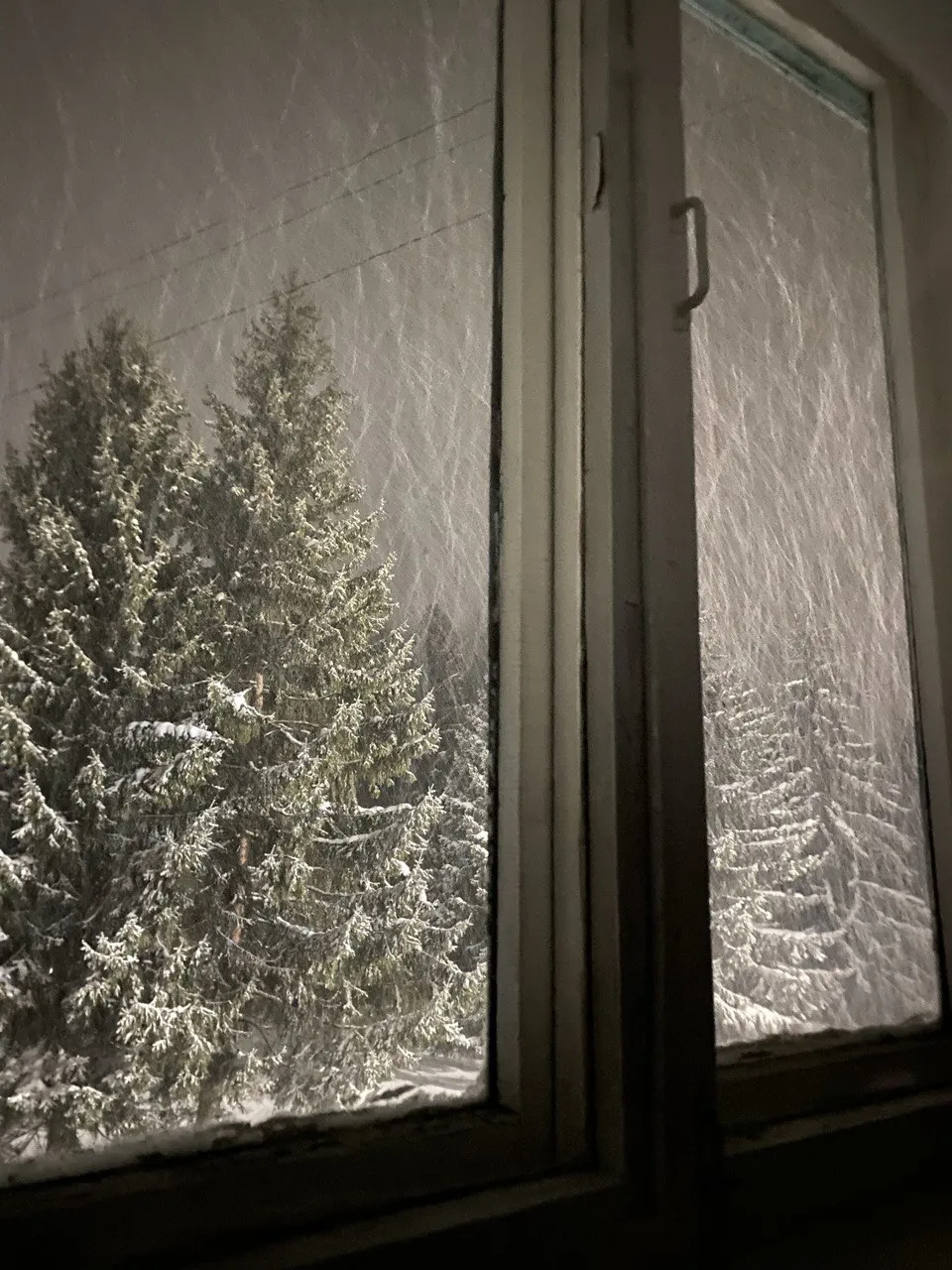 лесная сказка