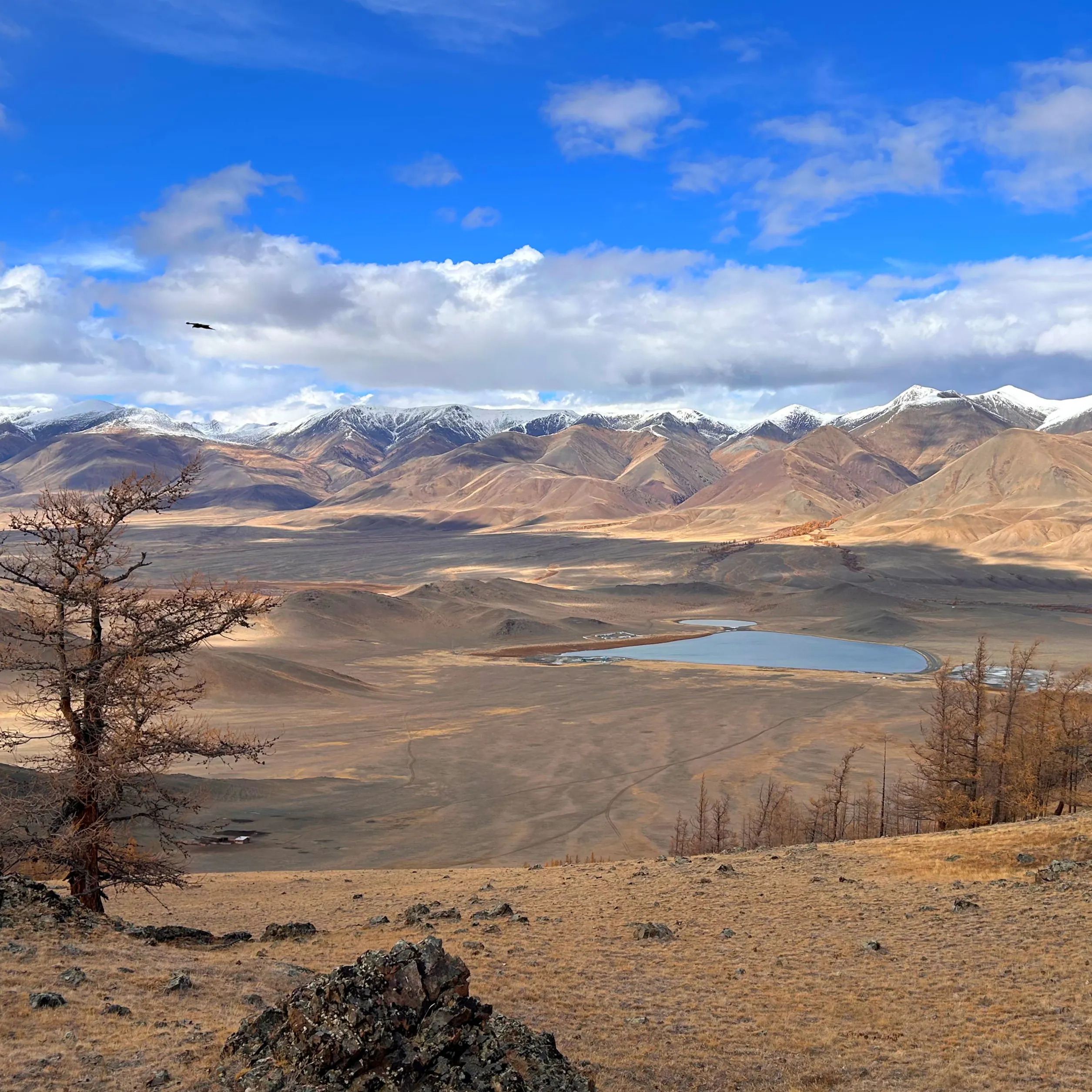 В моменте…