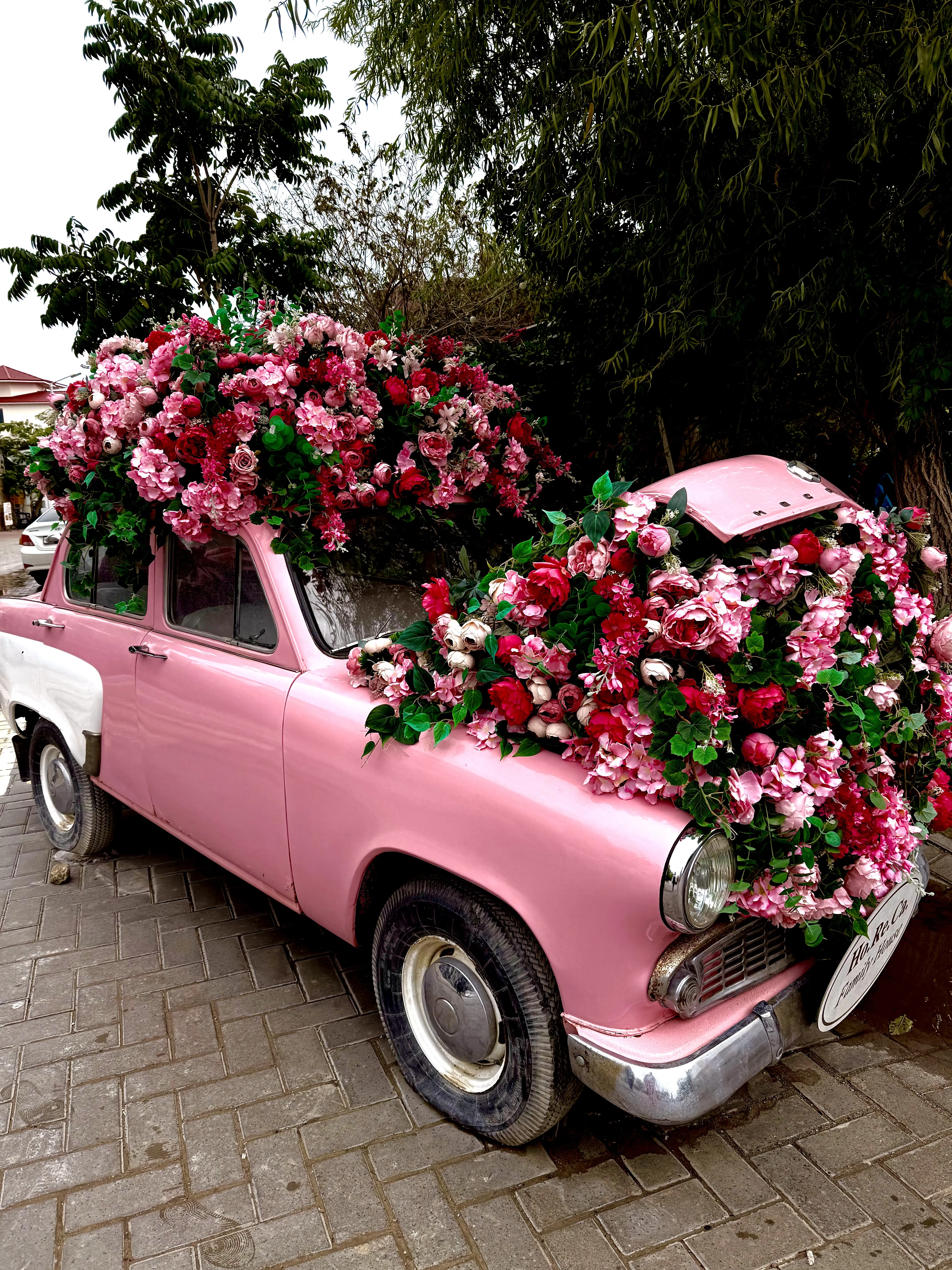 Автомобиль в цветах