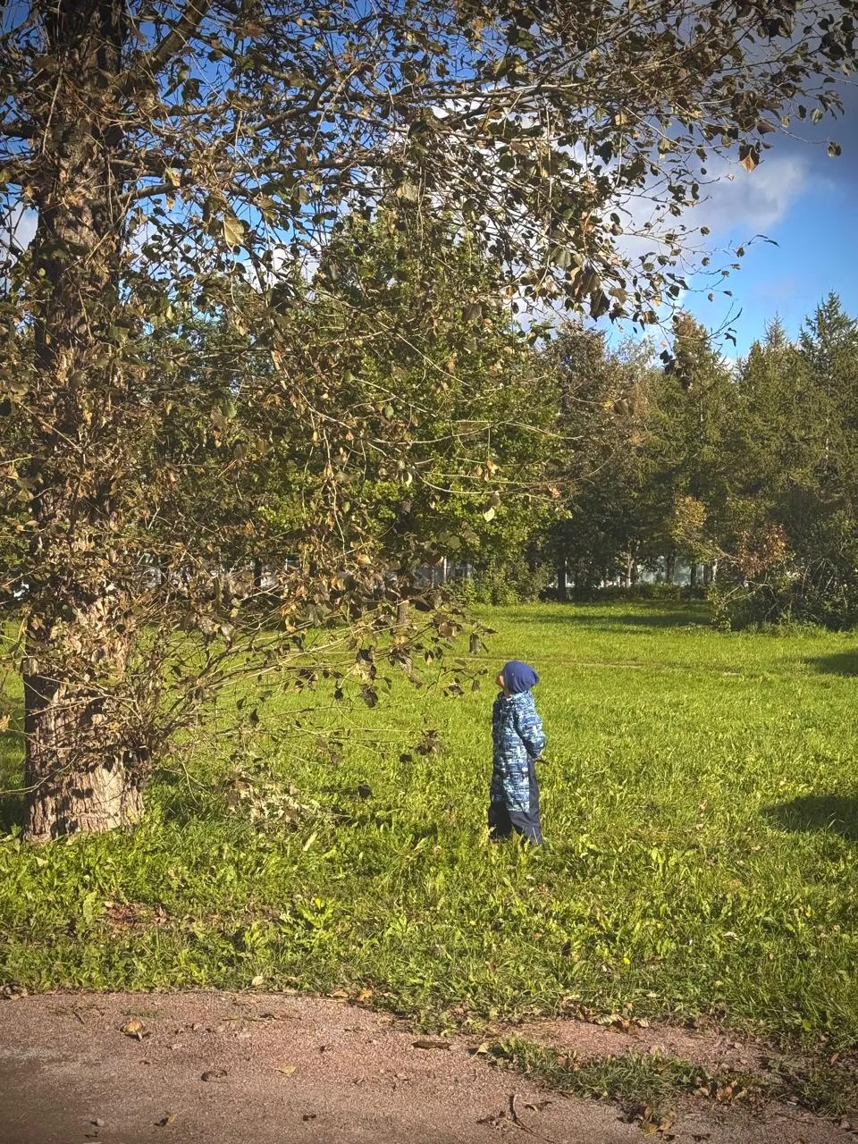 Точка отсчета