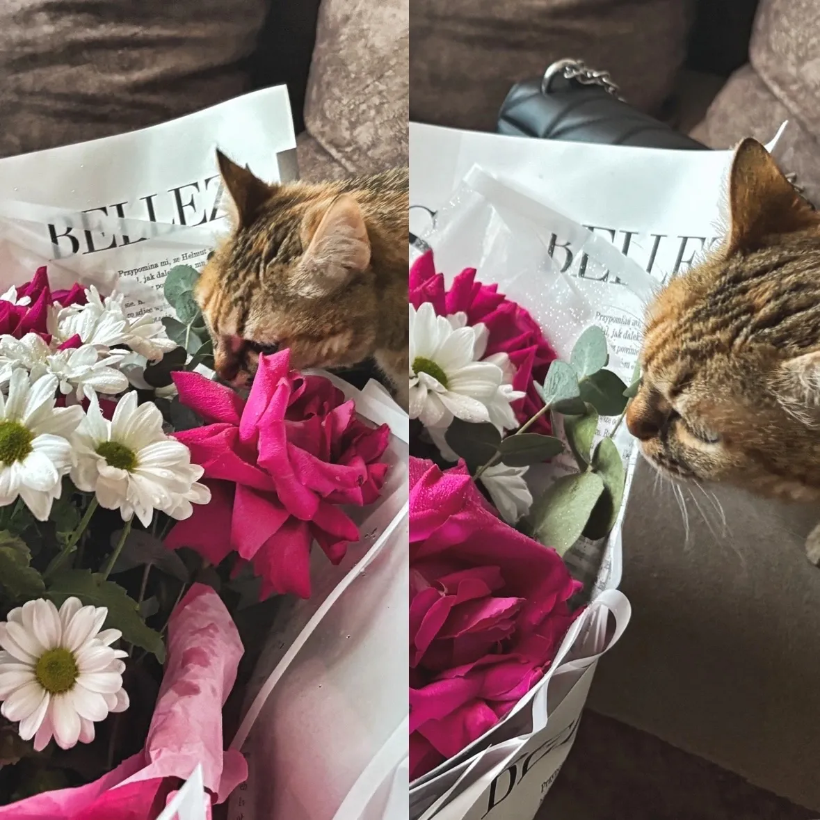 Цветочный детектив)