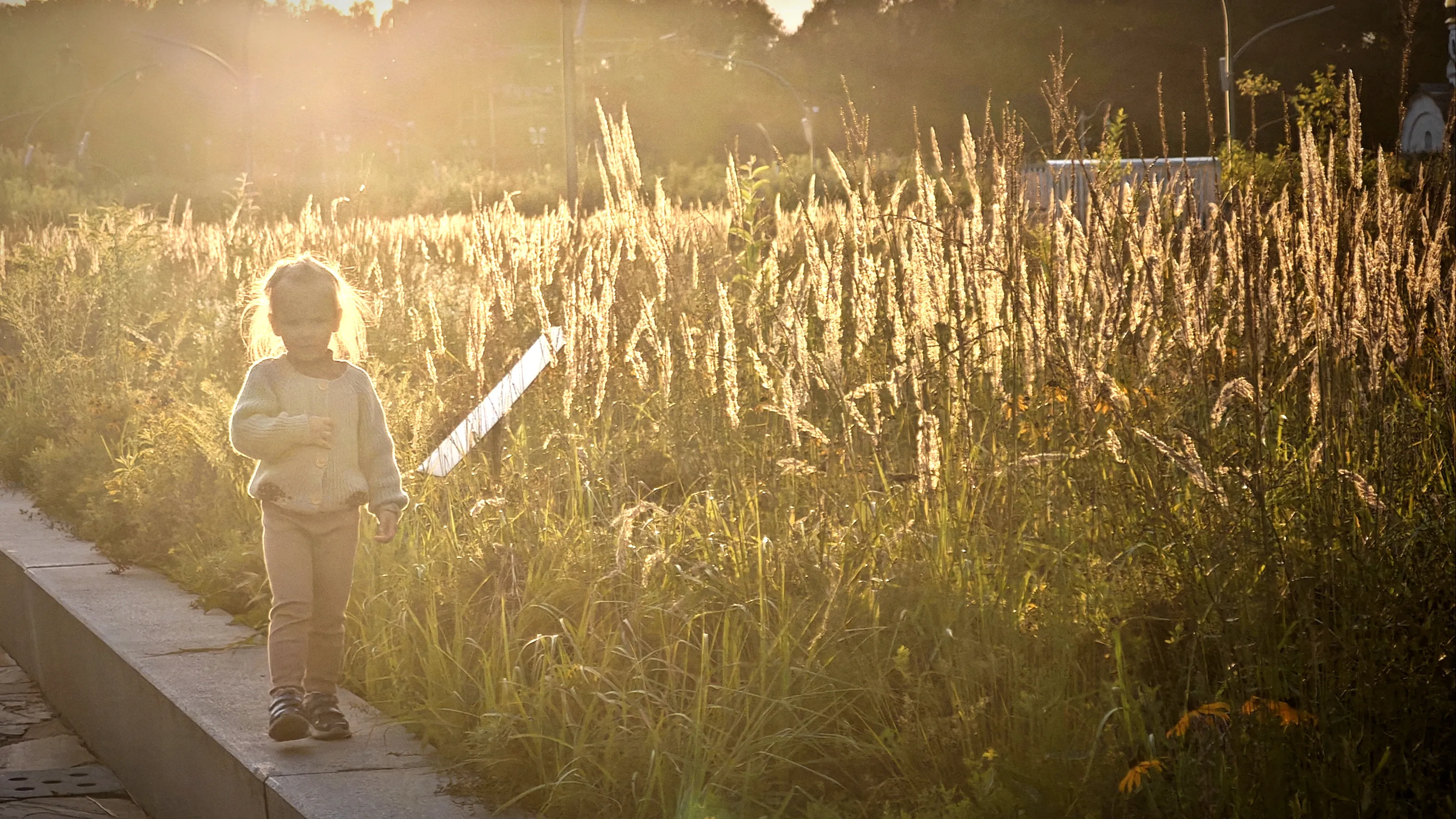 Моменты солнечного детства