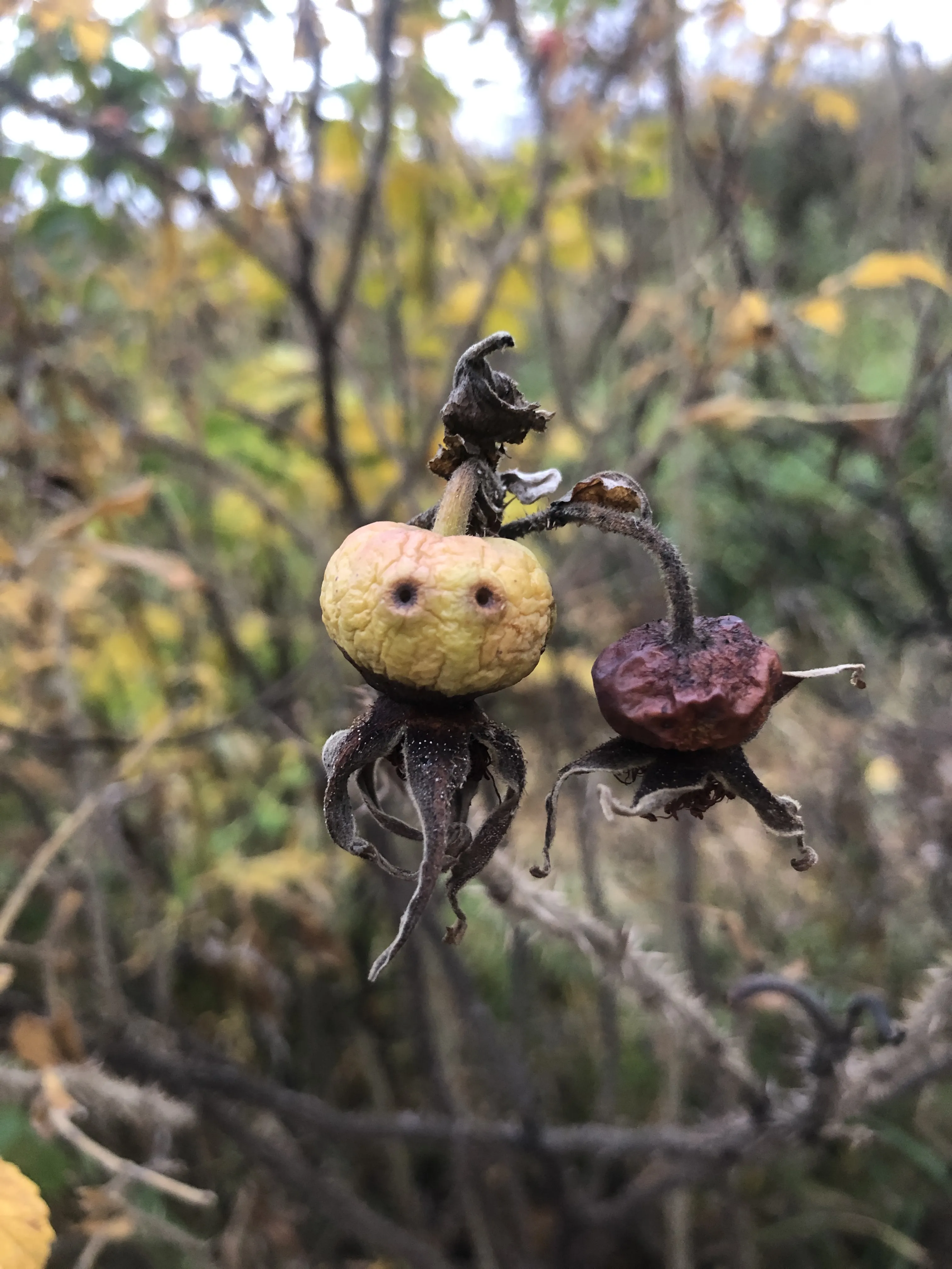 Доброе привидение