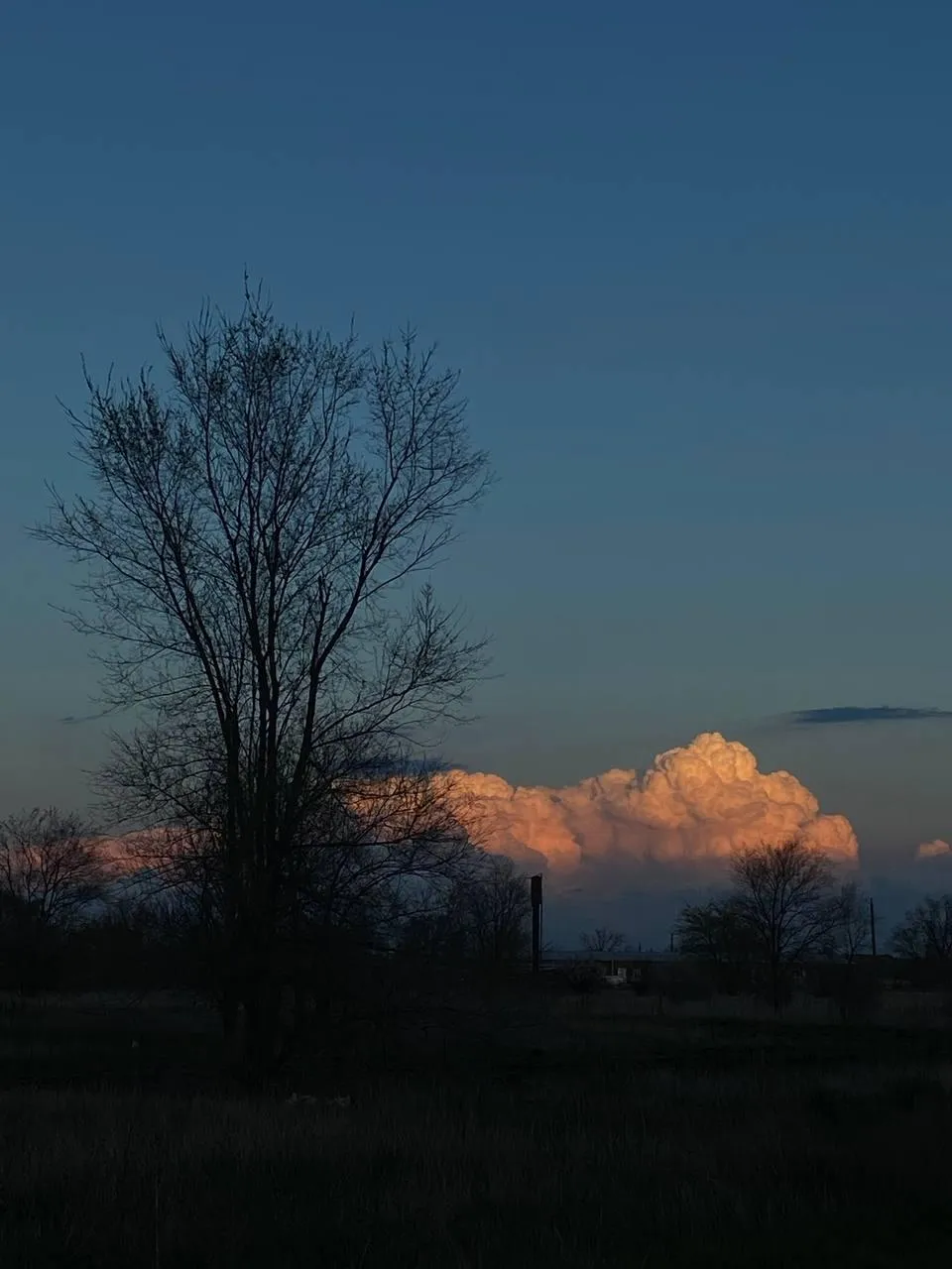заветное мгновение