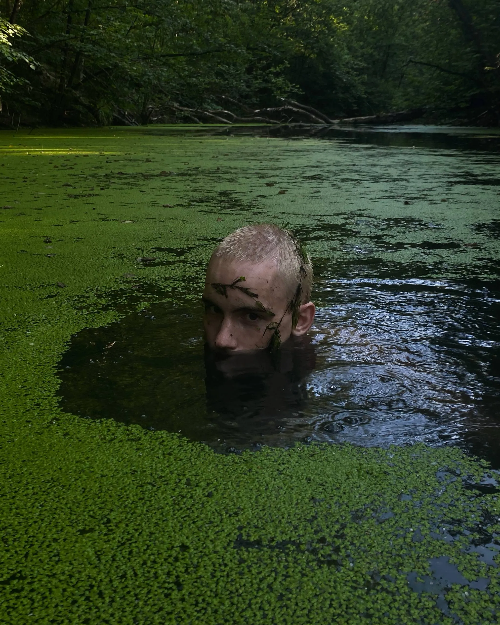 ваня в болоте