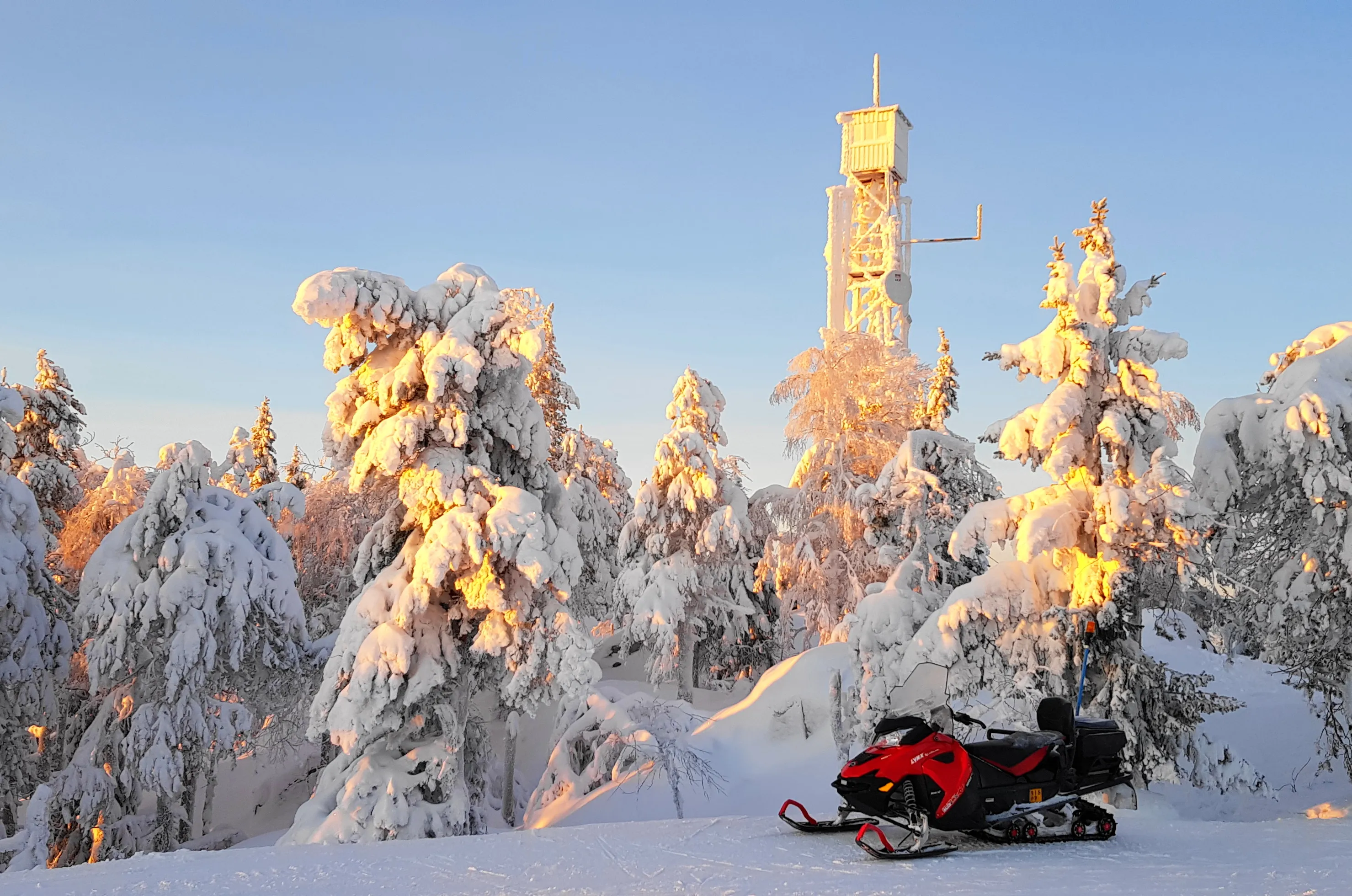 Красное и белое