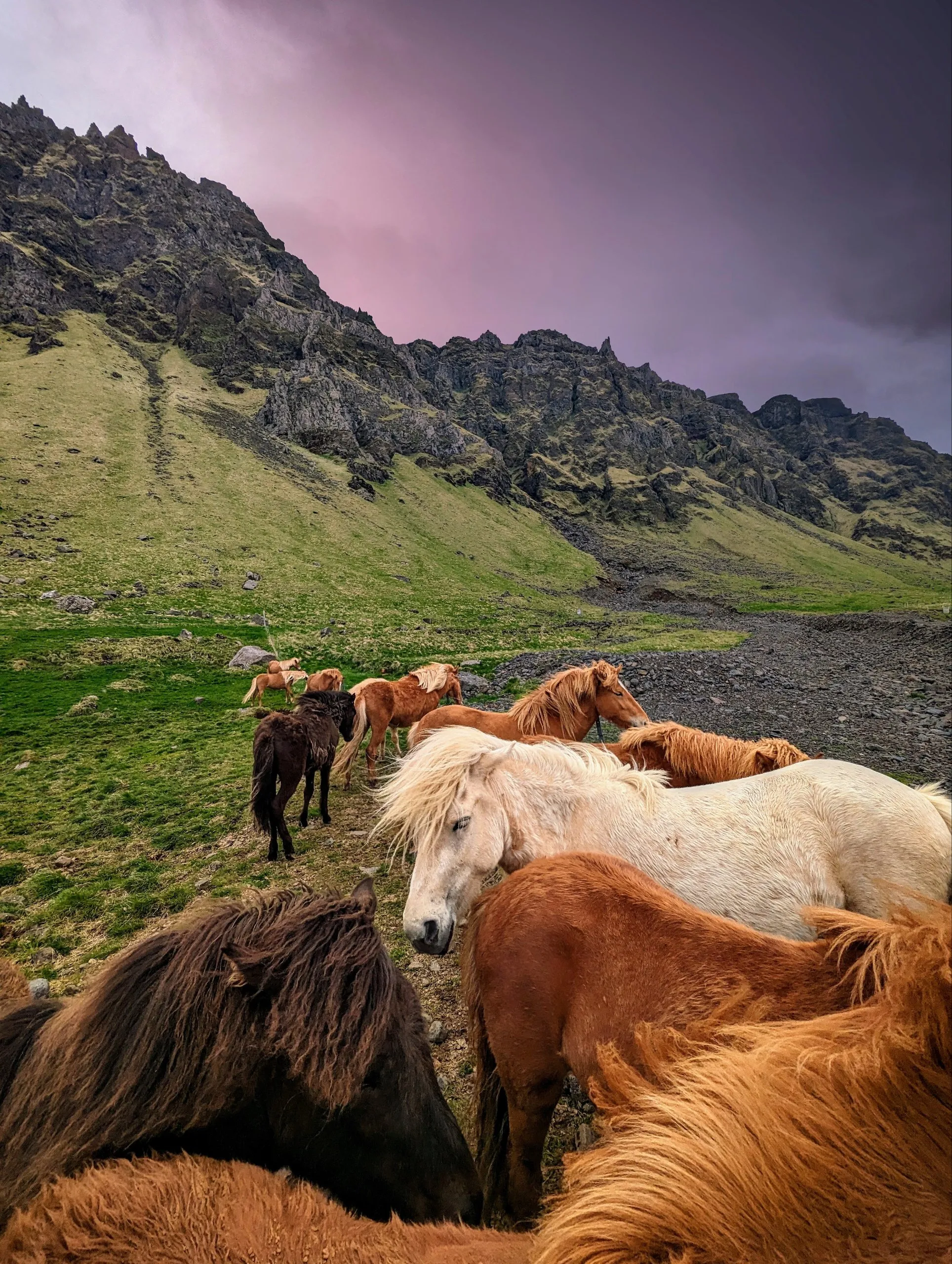 В Ожидании Дождя.