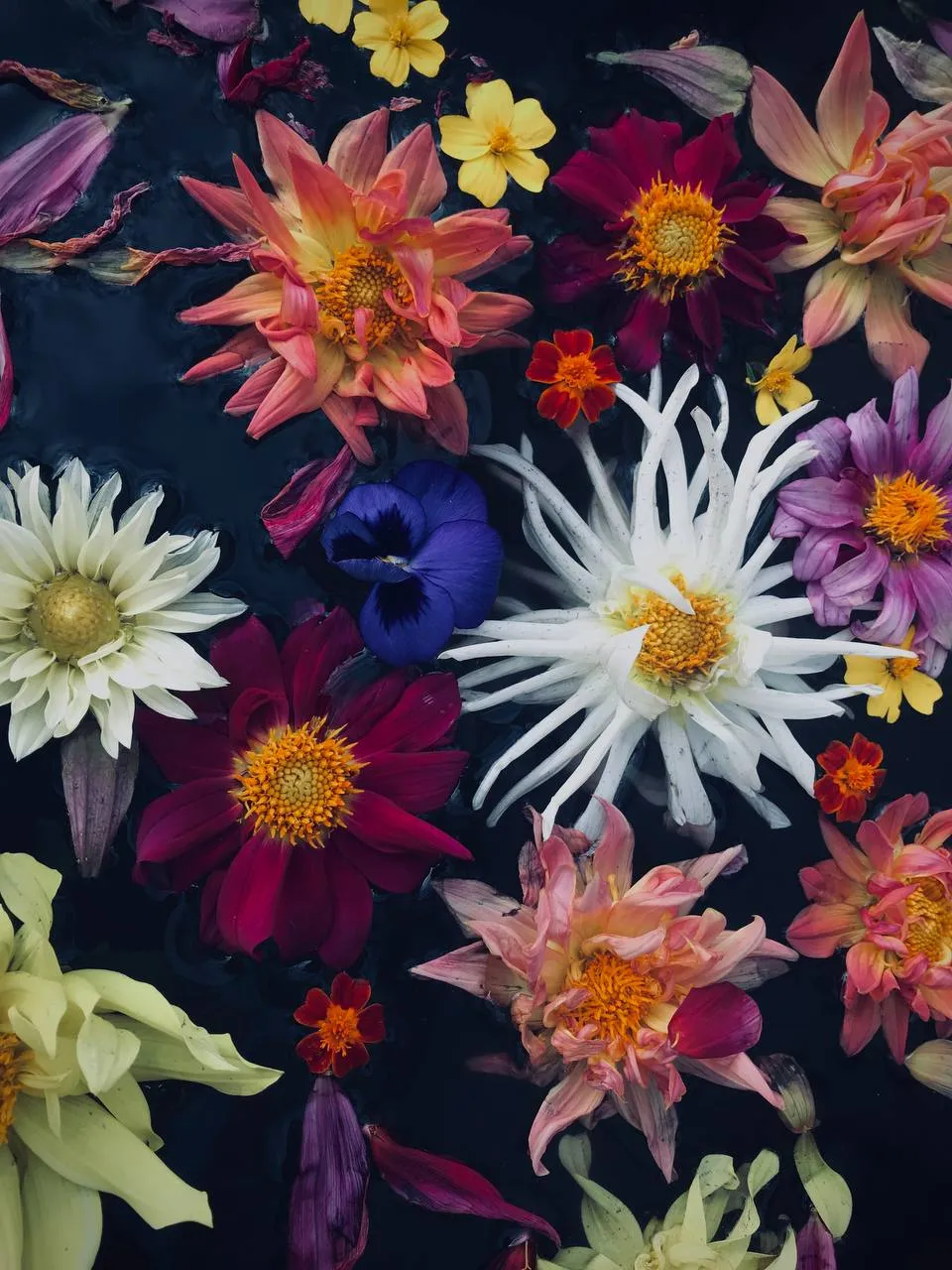 «Холодный поцелуй»