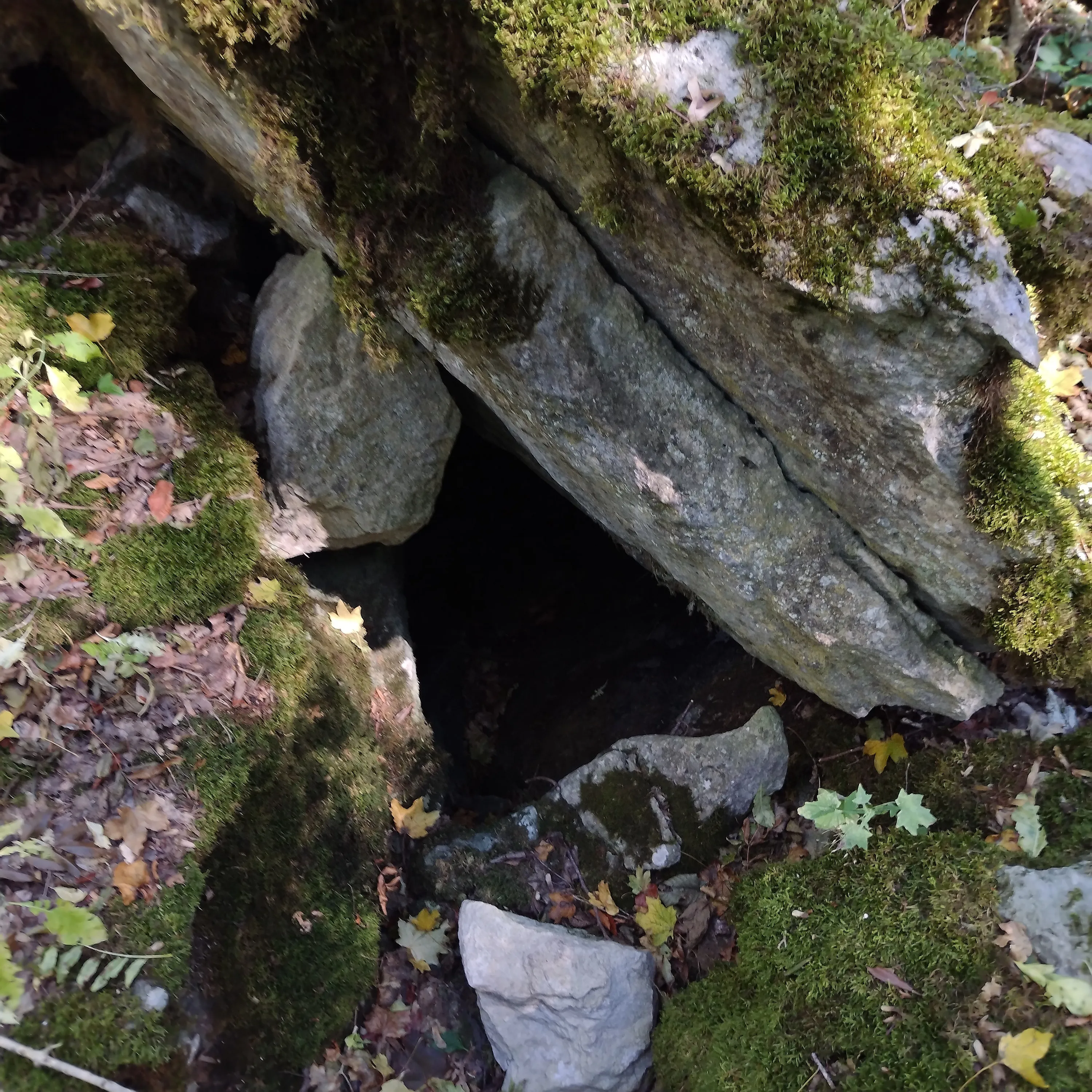 загадочная пещера в мхе