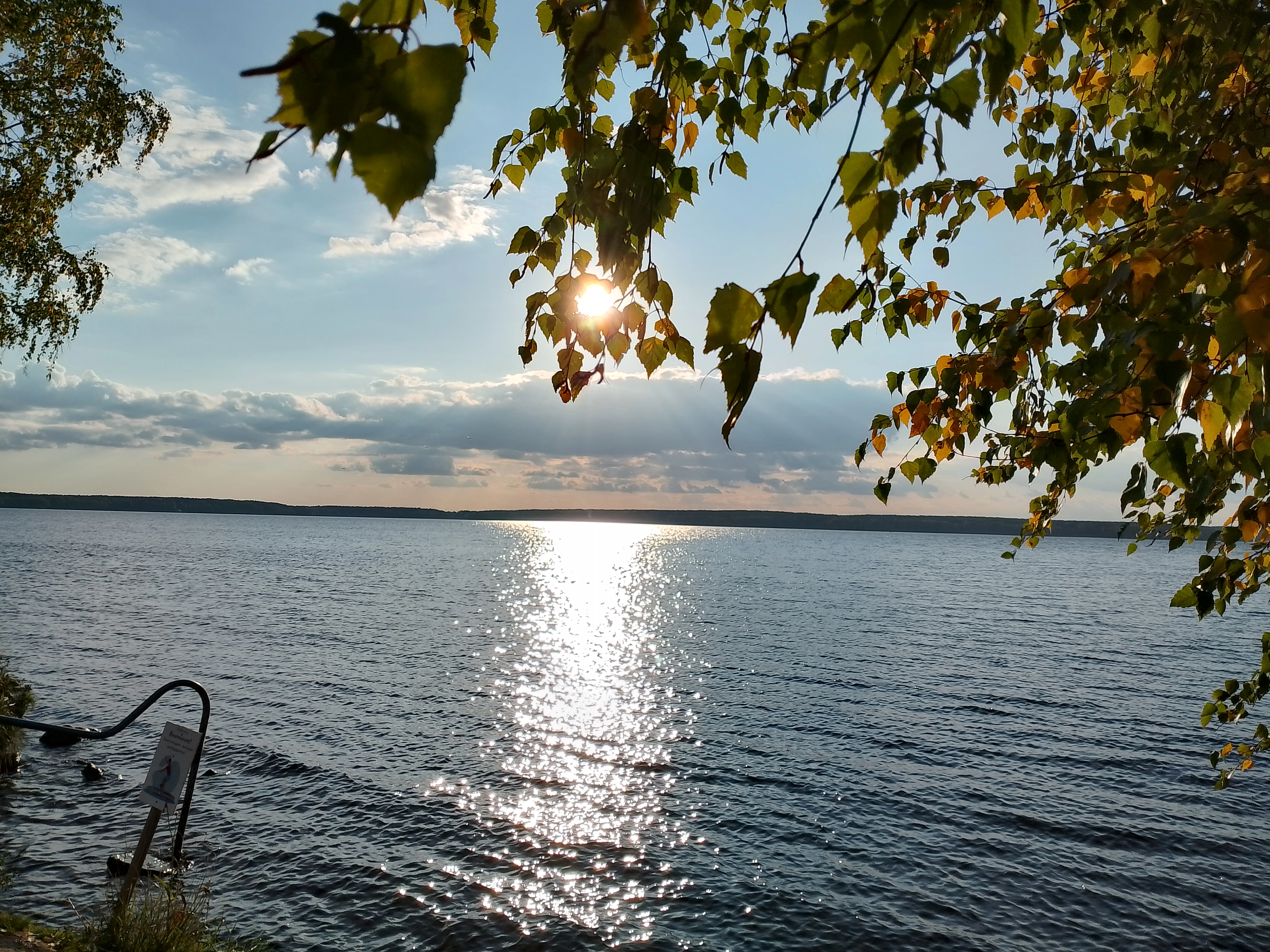 Зеркало природы