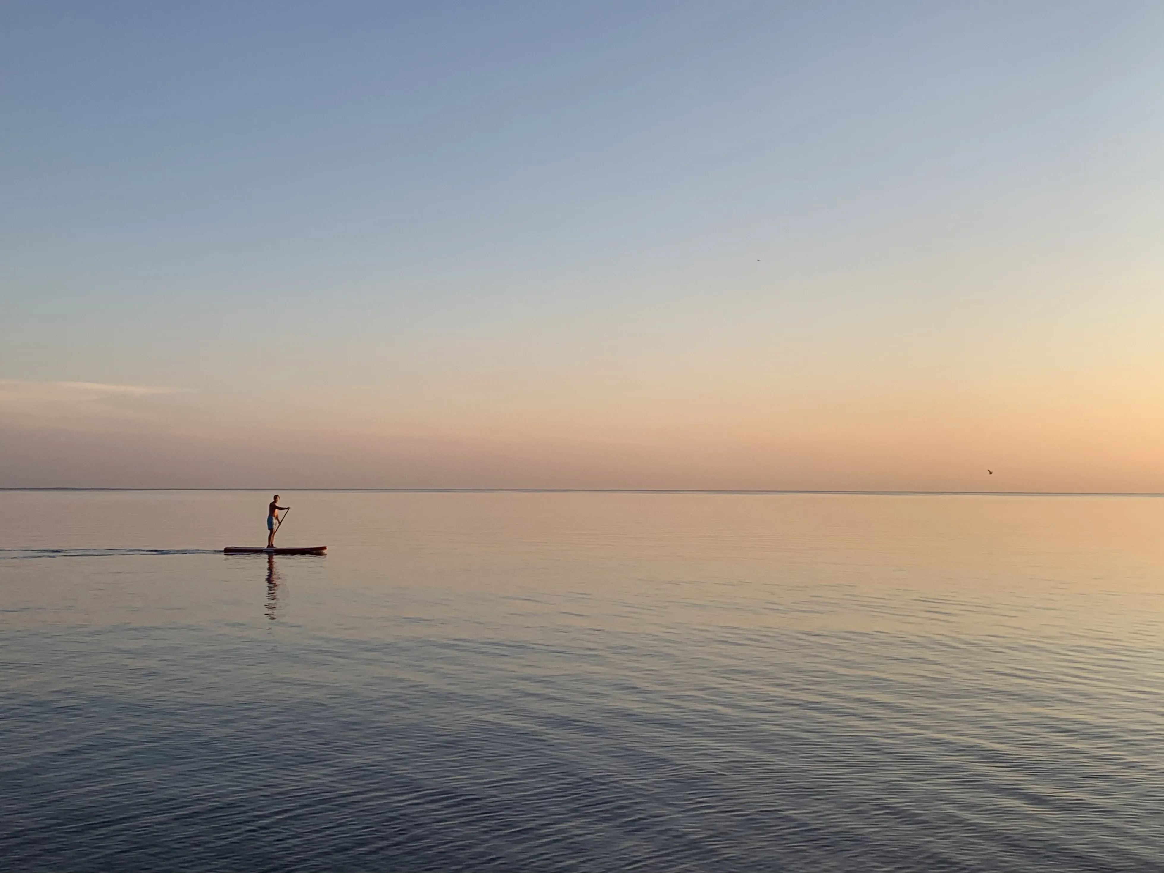 Белоночный странник