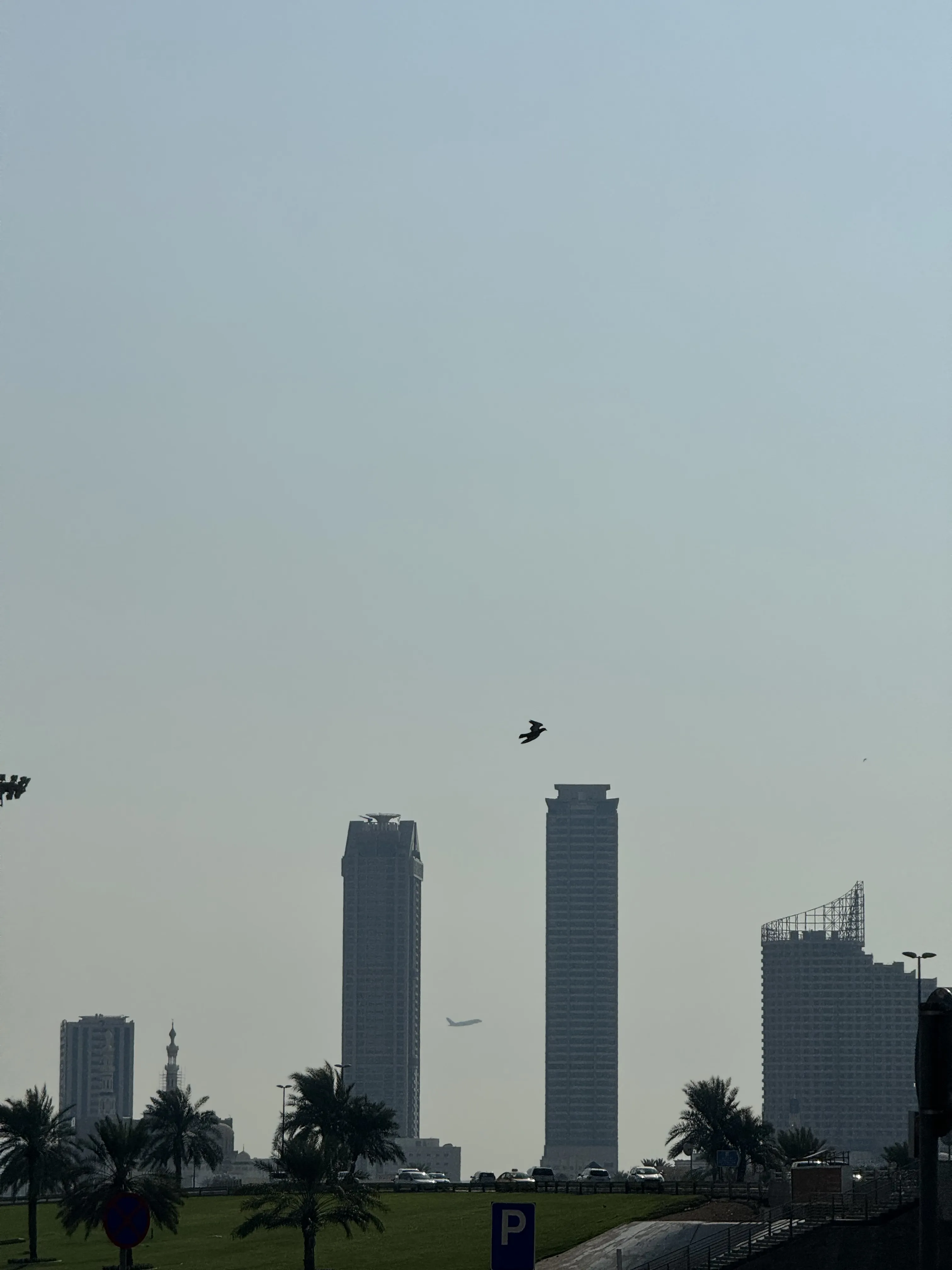 Параллельный полет