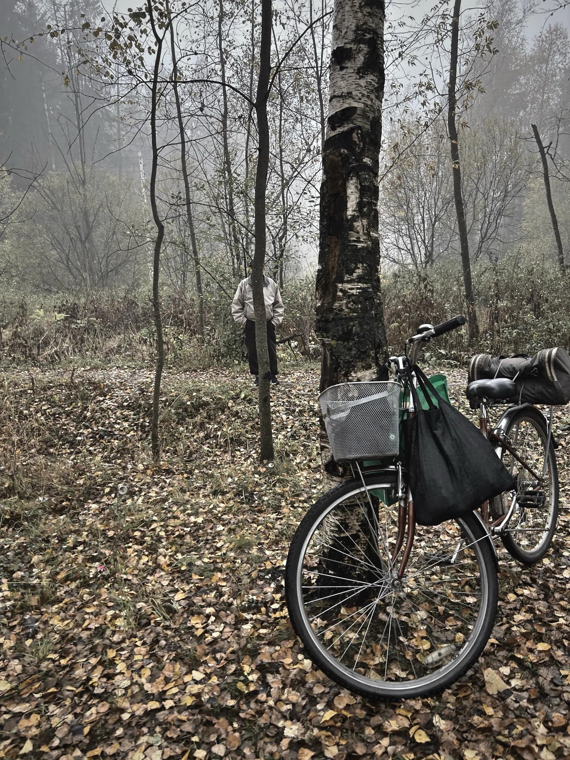 Наблюдатель