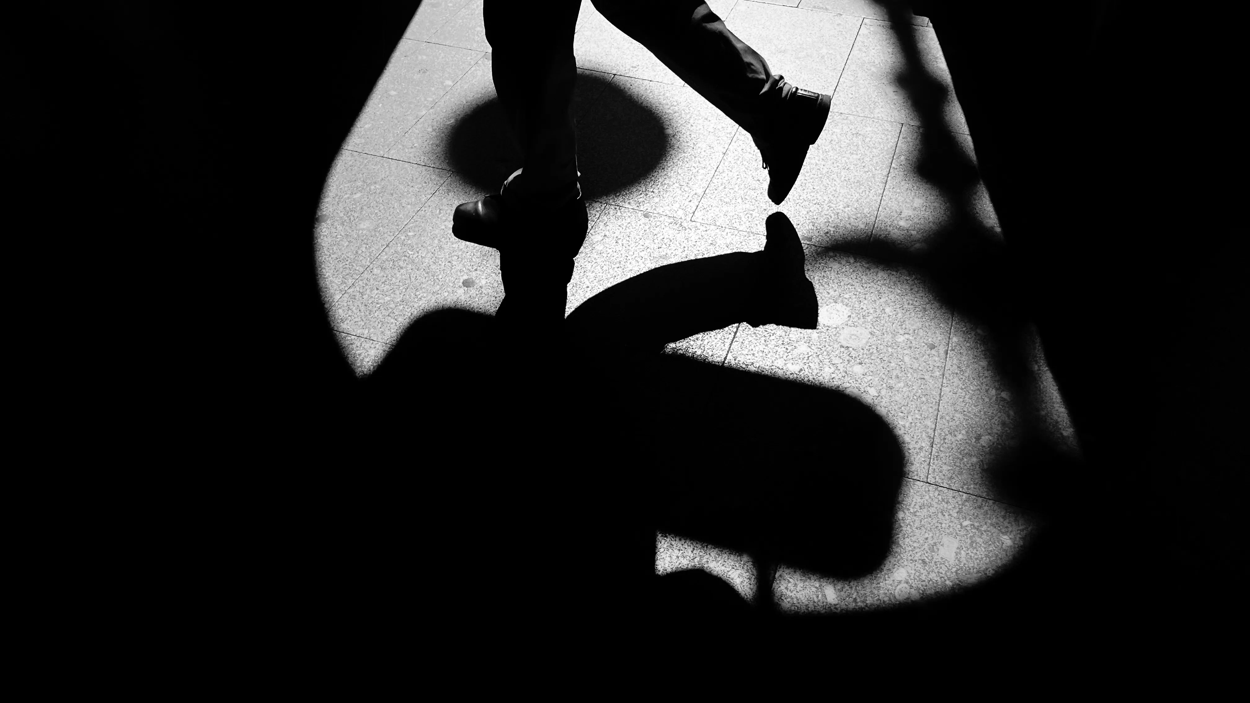 мгновение невесомости