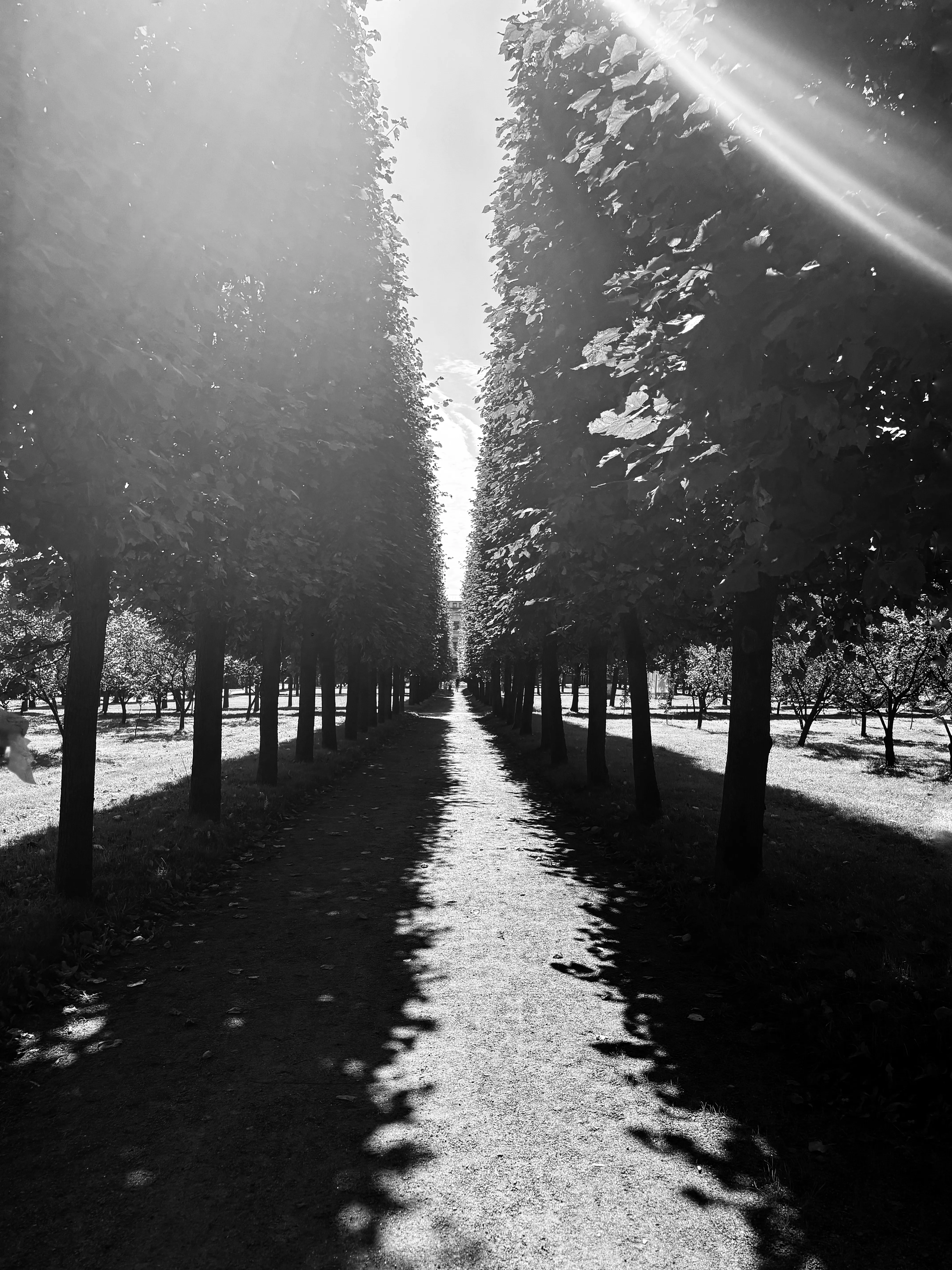 Лабиринты времени