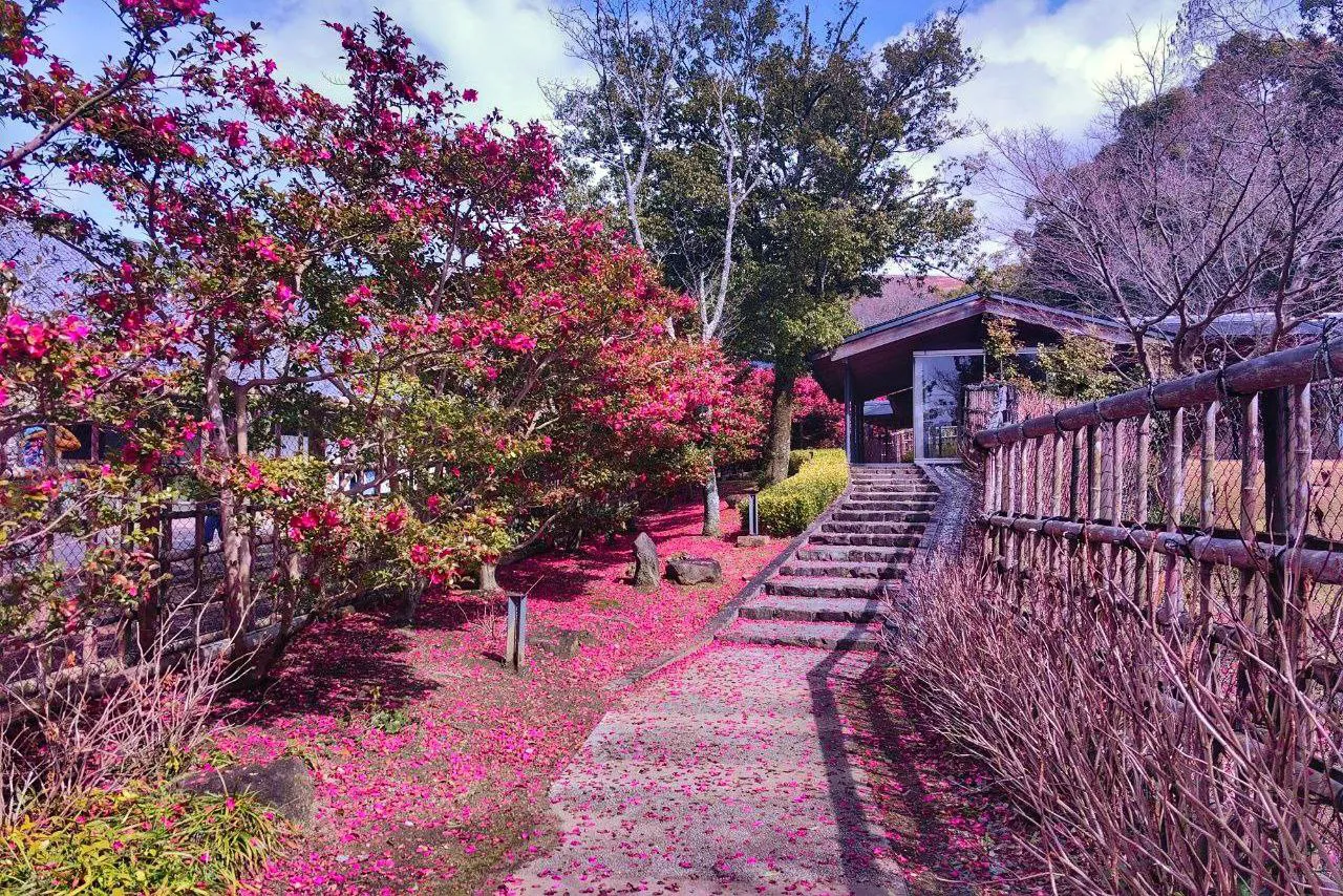 Цветущий сад