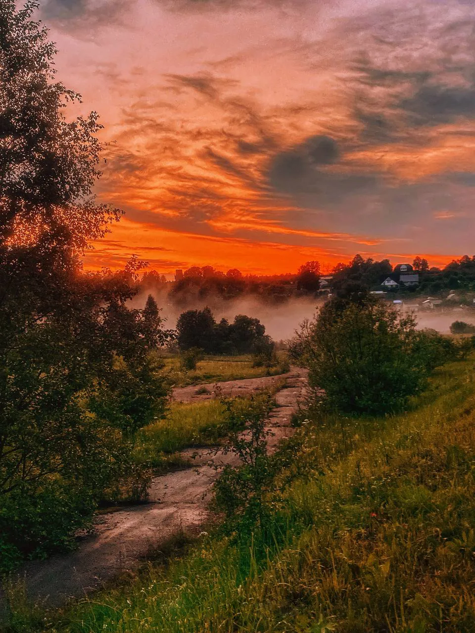 ловлю момент